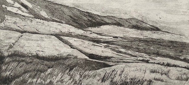 Title: Sligo series #3
Ed: 5
Medium: Etching & Drypoint
Size: 25cm x 12cm