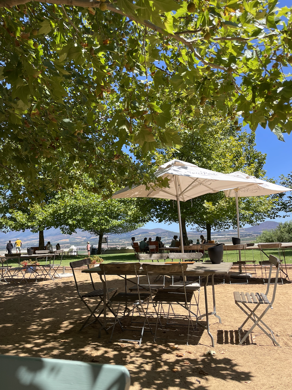 Spice Route Wines Paarl outside wine tasting area views.png