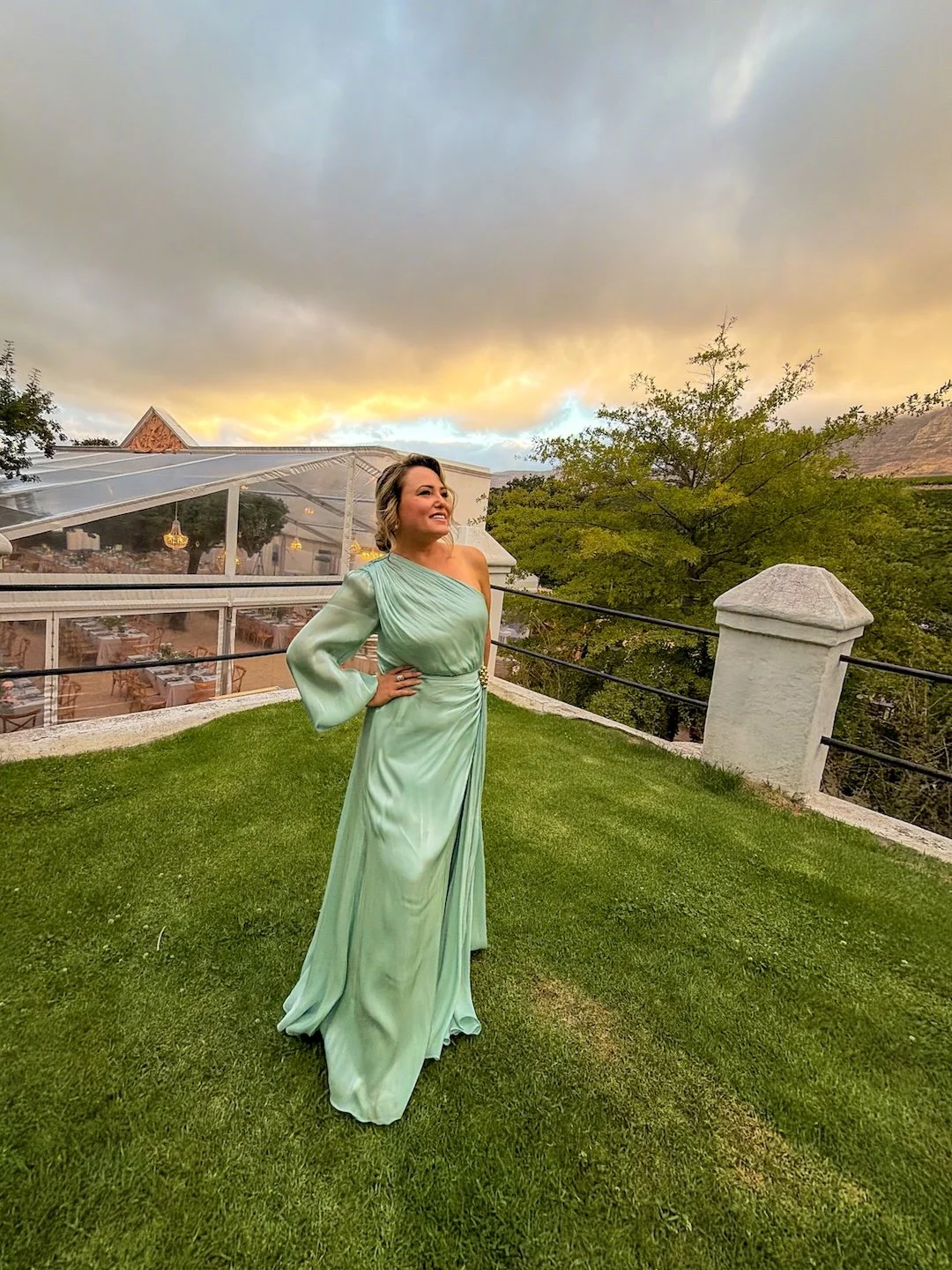 SA Wine Harvest Commemorative Event The Wine Girl Cape Town