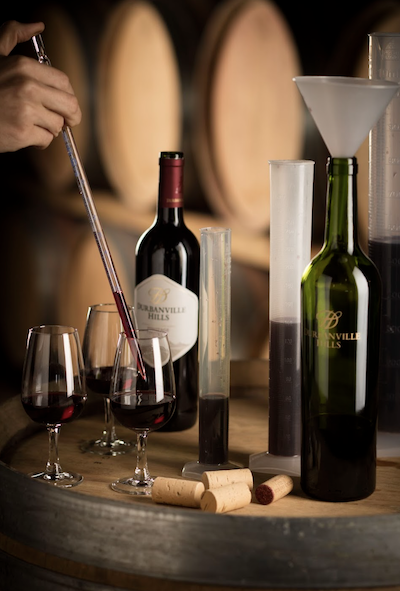 Durbanville Hills Wine Farm Harvest 2026 experience wine blending.png