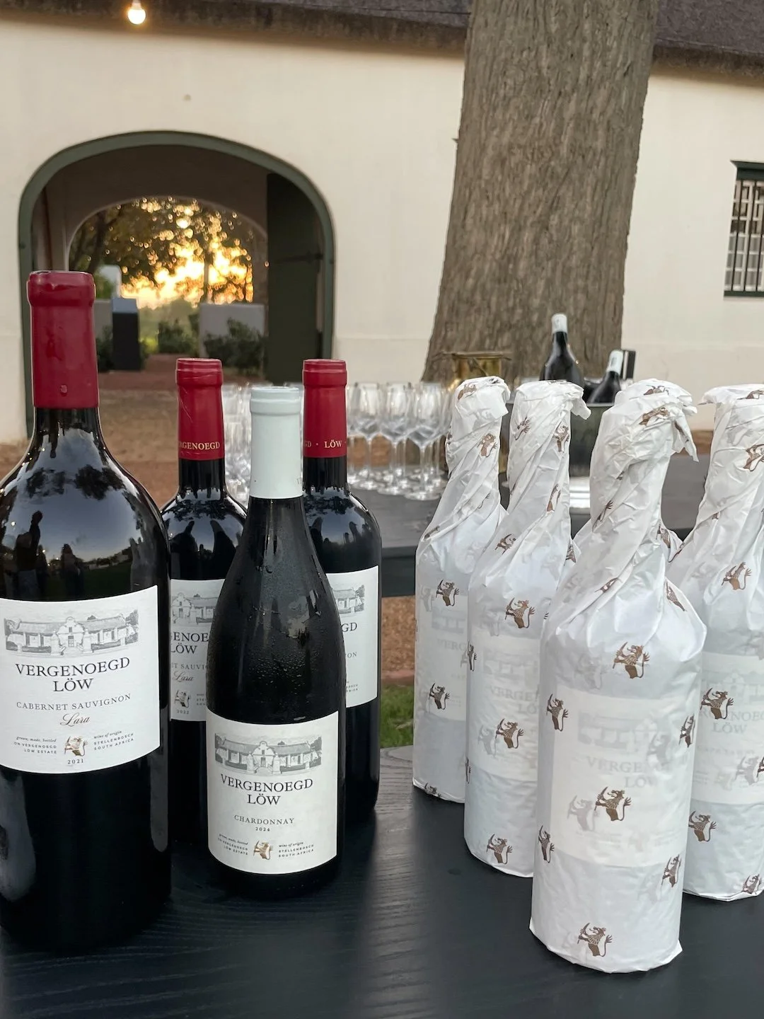 Vergenoegd Low Jazz Under the Stars The Wine Girl Cape Town