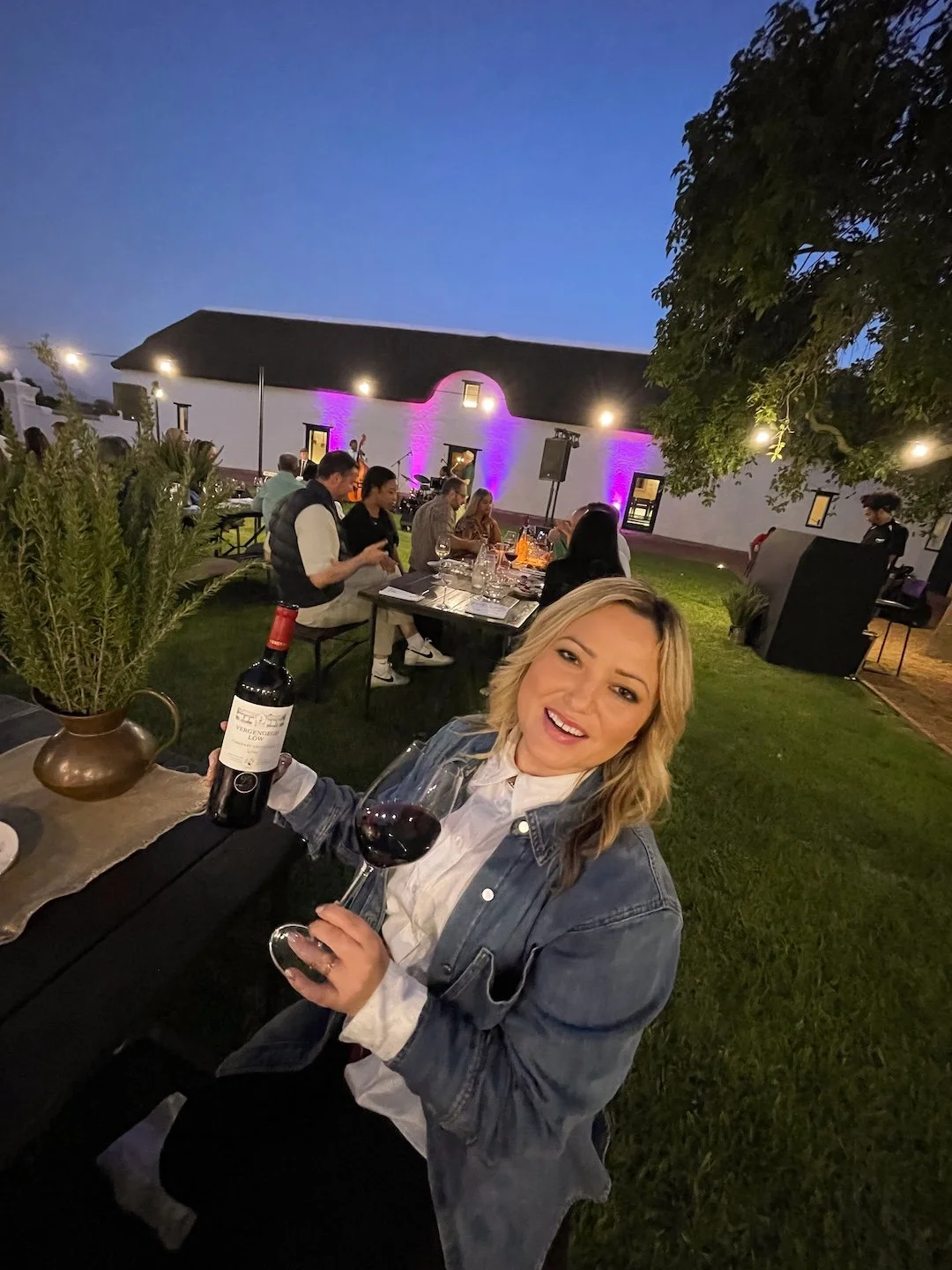 Vergenoegd Low Jazz Under the Stars The Wine Girl Cape Town