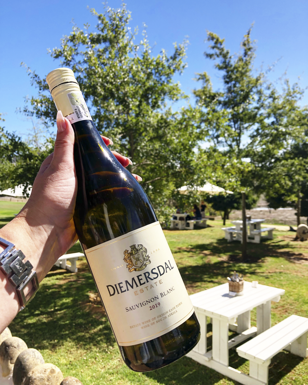 The Wine Girl Cape Town Diemersdal Durbanville Wine Route-3.png