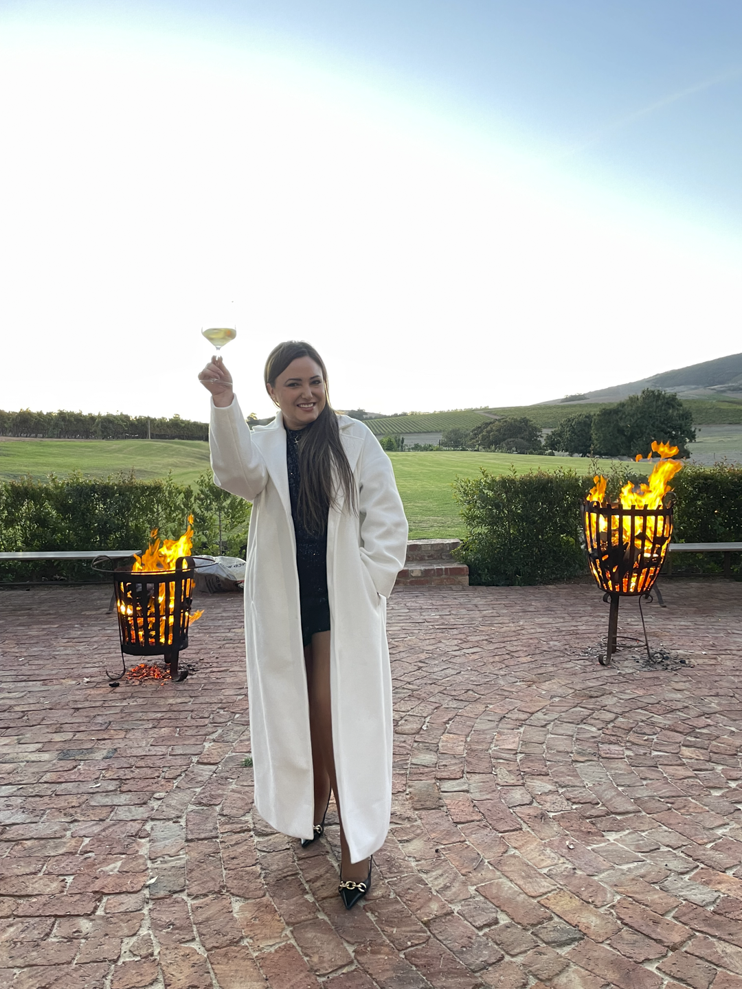 The Wine Girl Cape Town Diemersdal Durbanville Wine Route-4.png