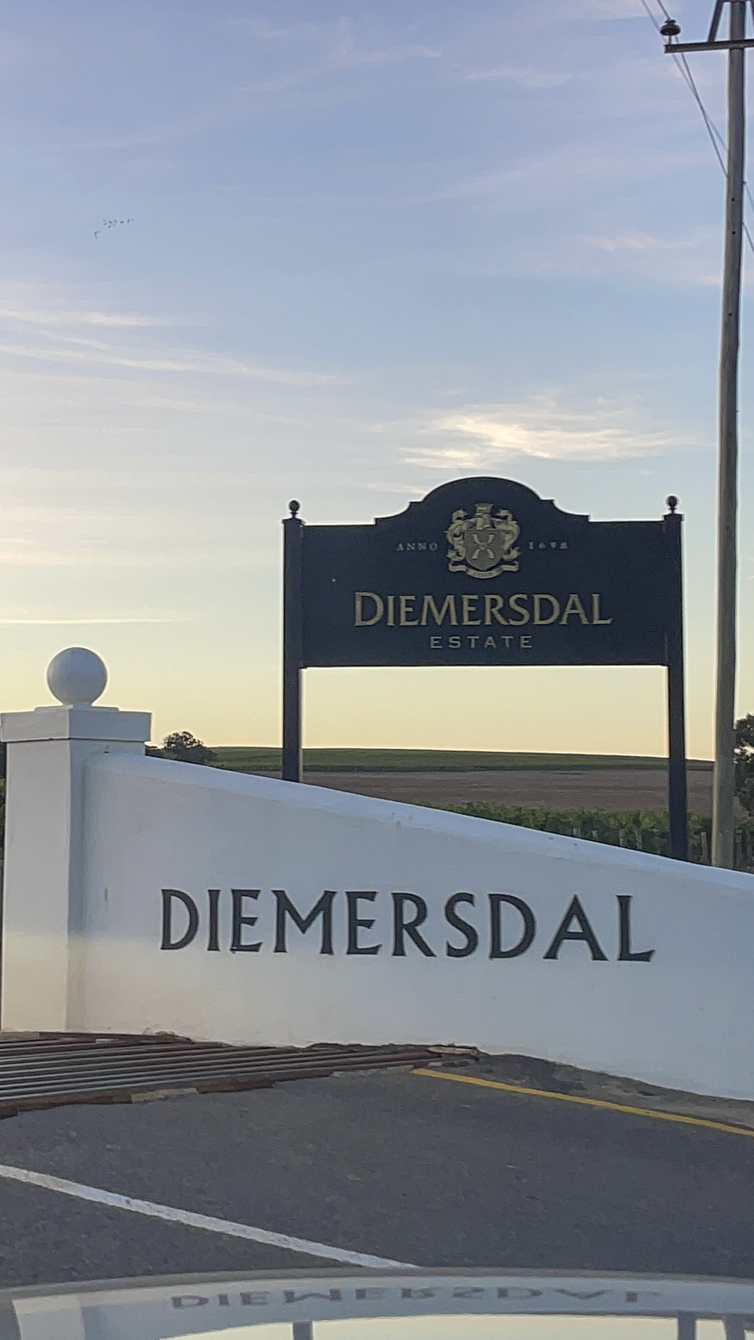 The Wine Girl Cape Town Diemersdal Durbanville Wine Route-1.png