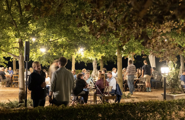 Durbanville Wine Valley Tasting under the stars and trees