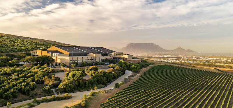 Durbanville Hills Wine Farm Harvest 2026 experience.png