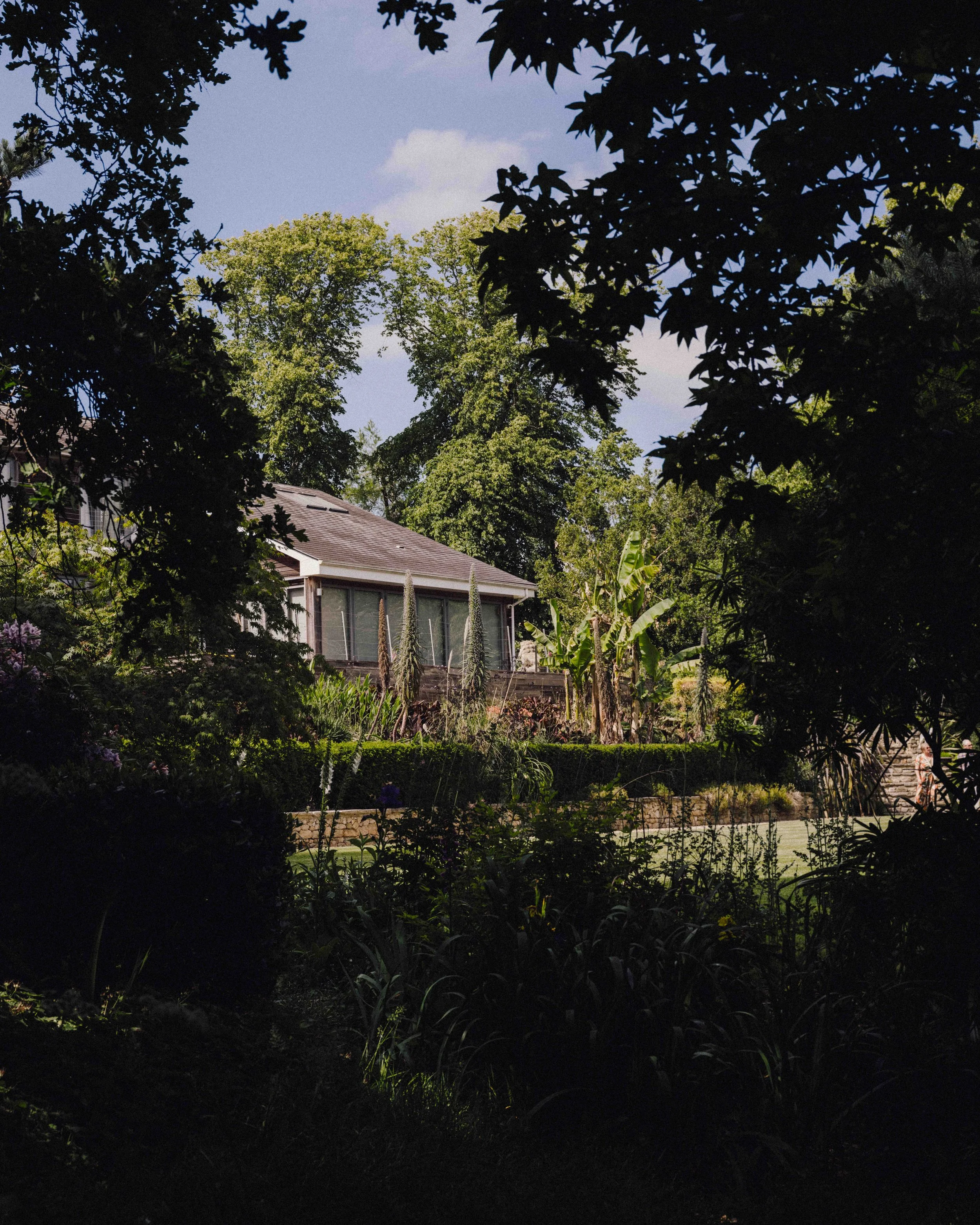 DSCF1853.jpg