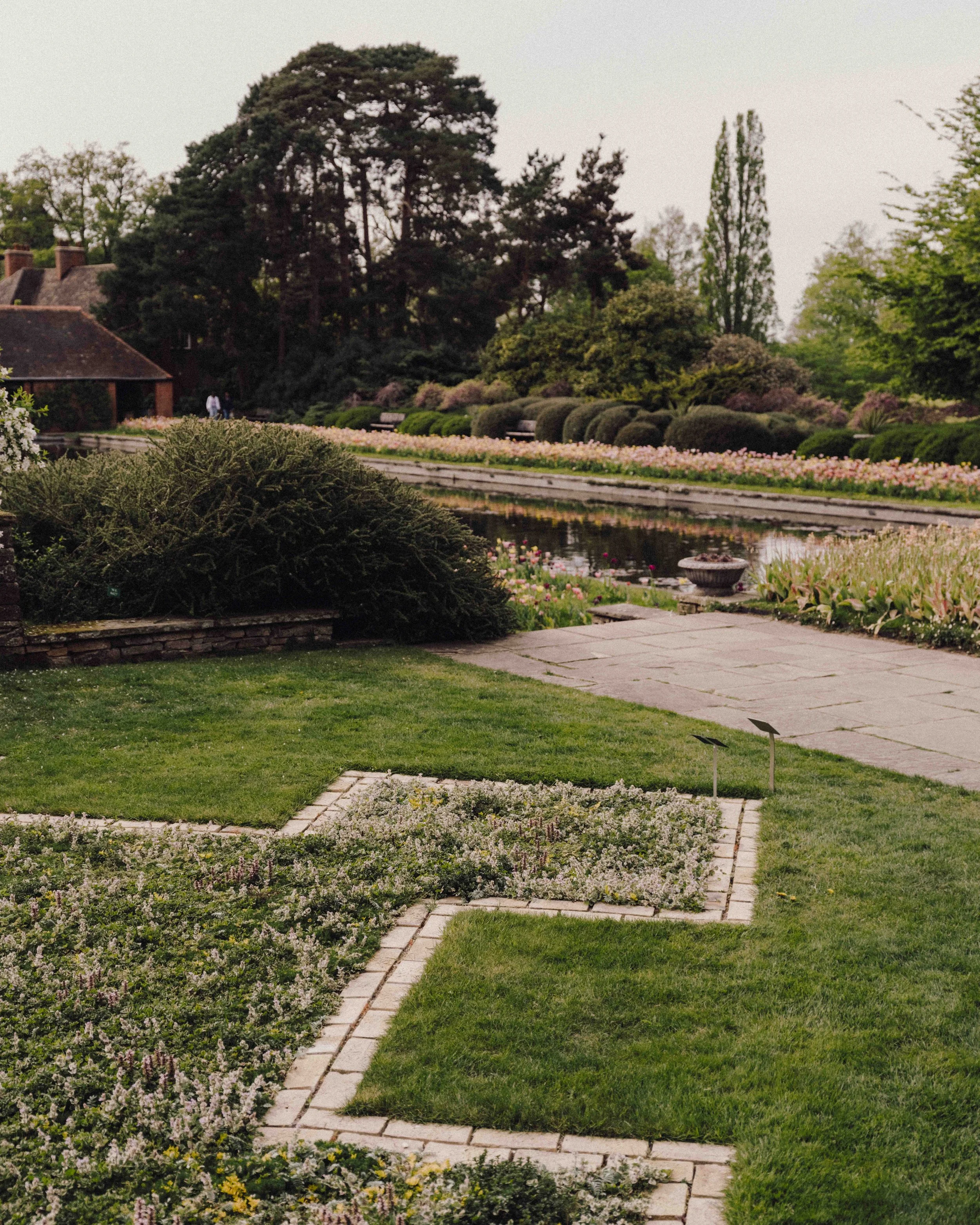 DSCF5323.jpg