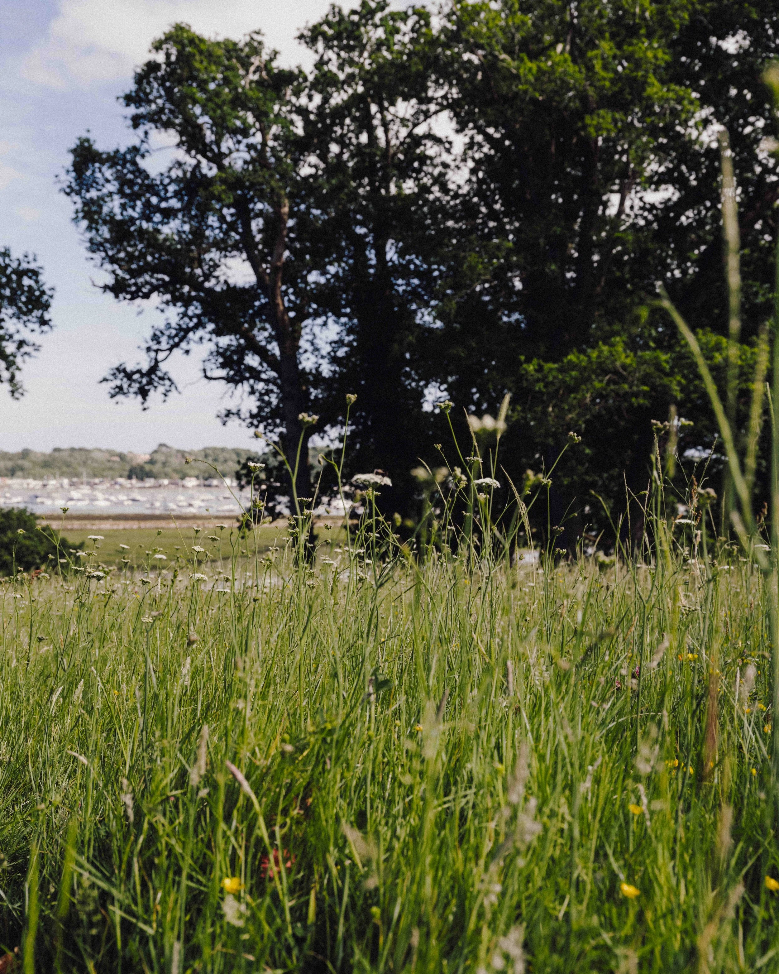 DSCF1926.jpg