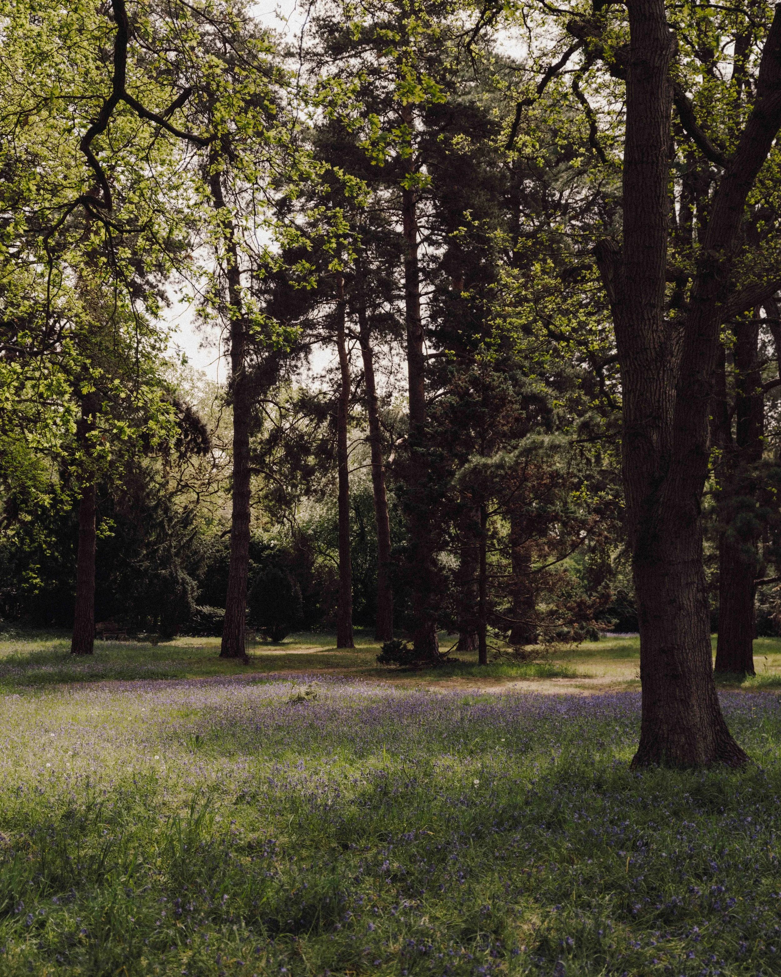 DSCF5139.jpg
