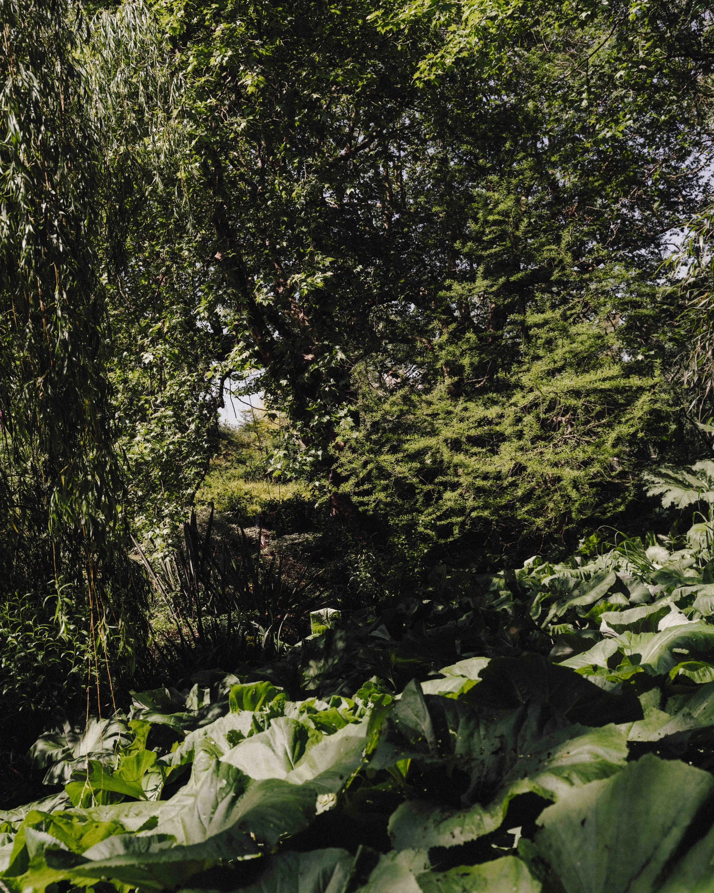 DSCF0057.jpg