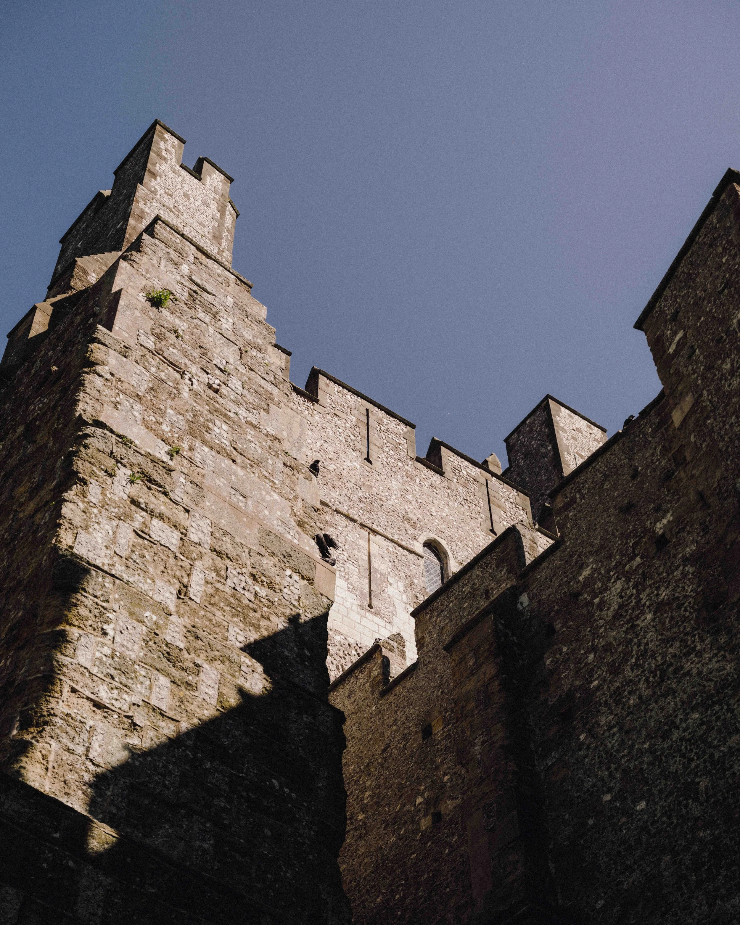 DSCF5074.jpg