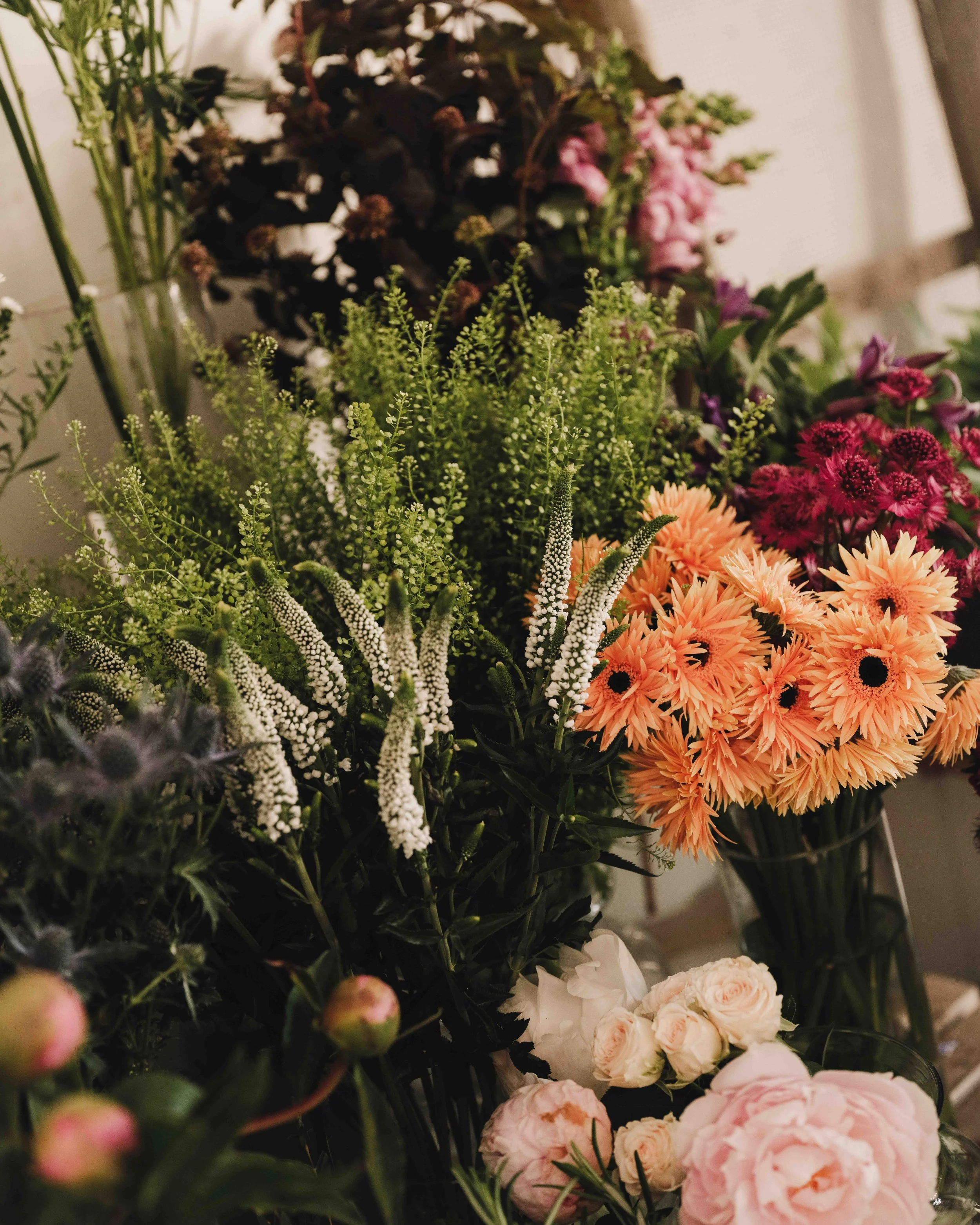 DSCF9060.jpg