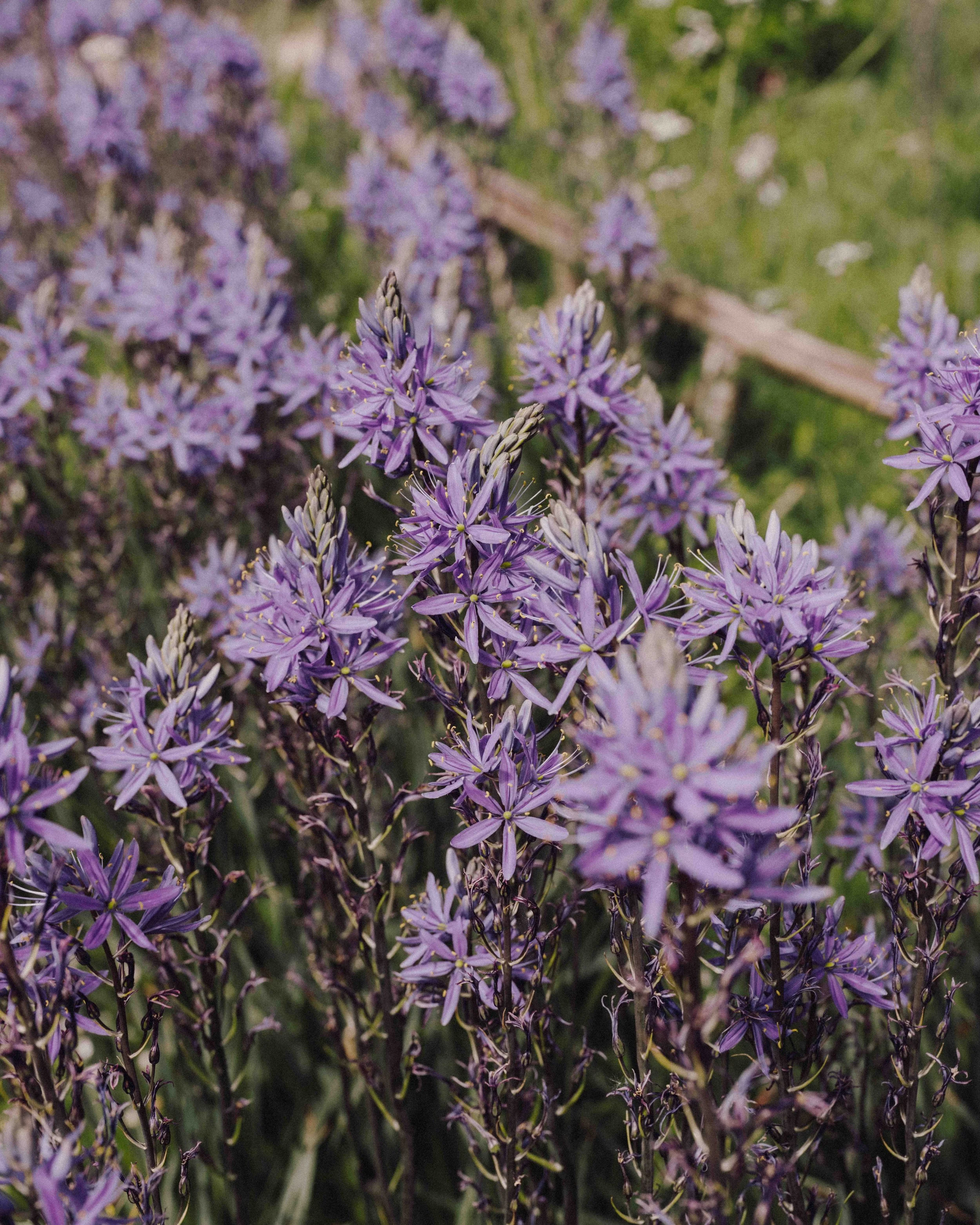 DSCF4840.jpg