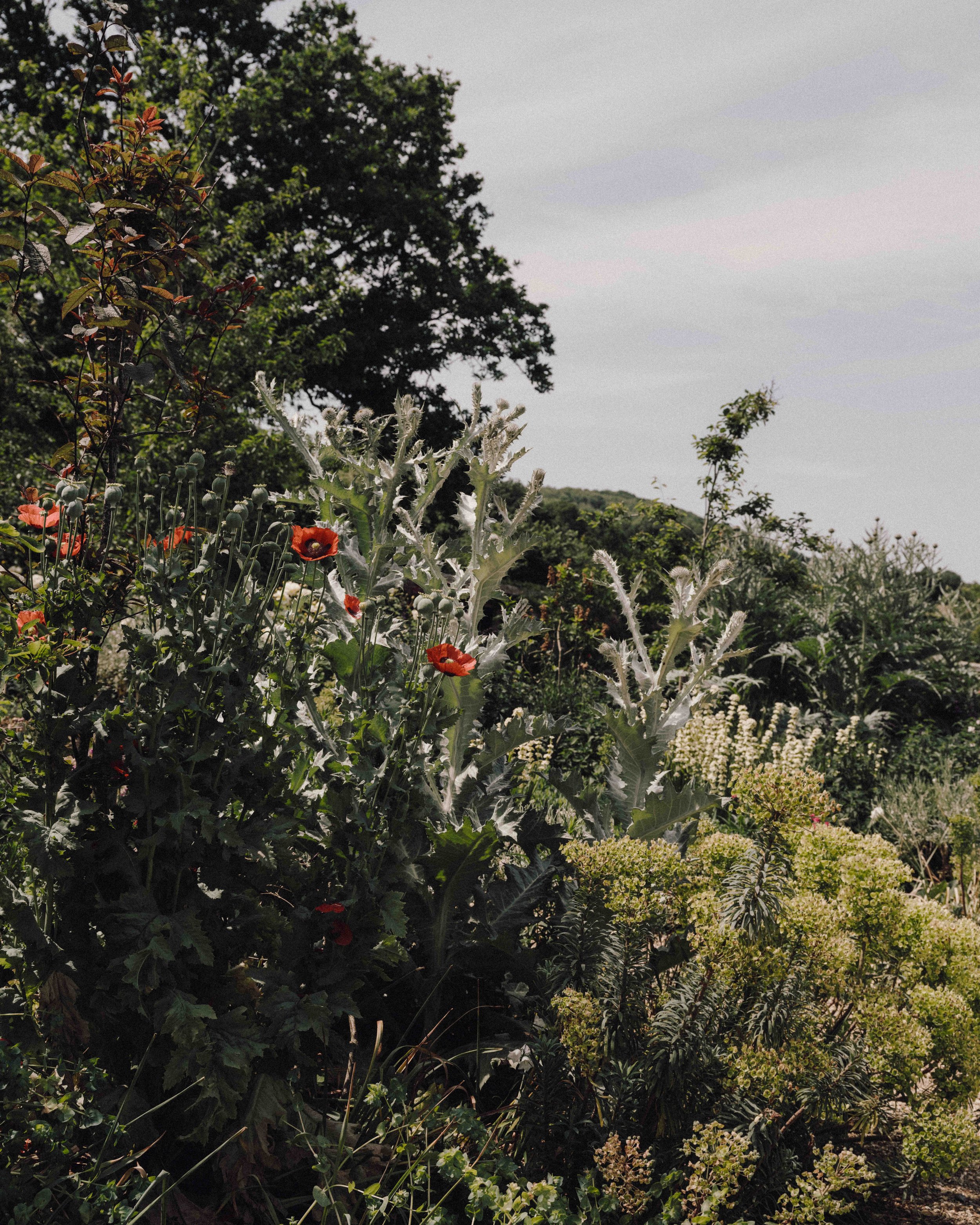 DSCF1568.jpg