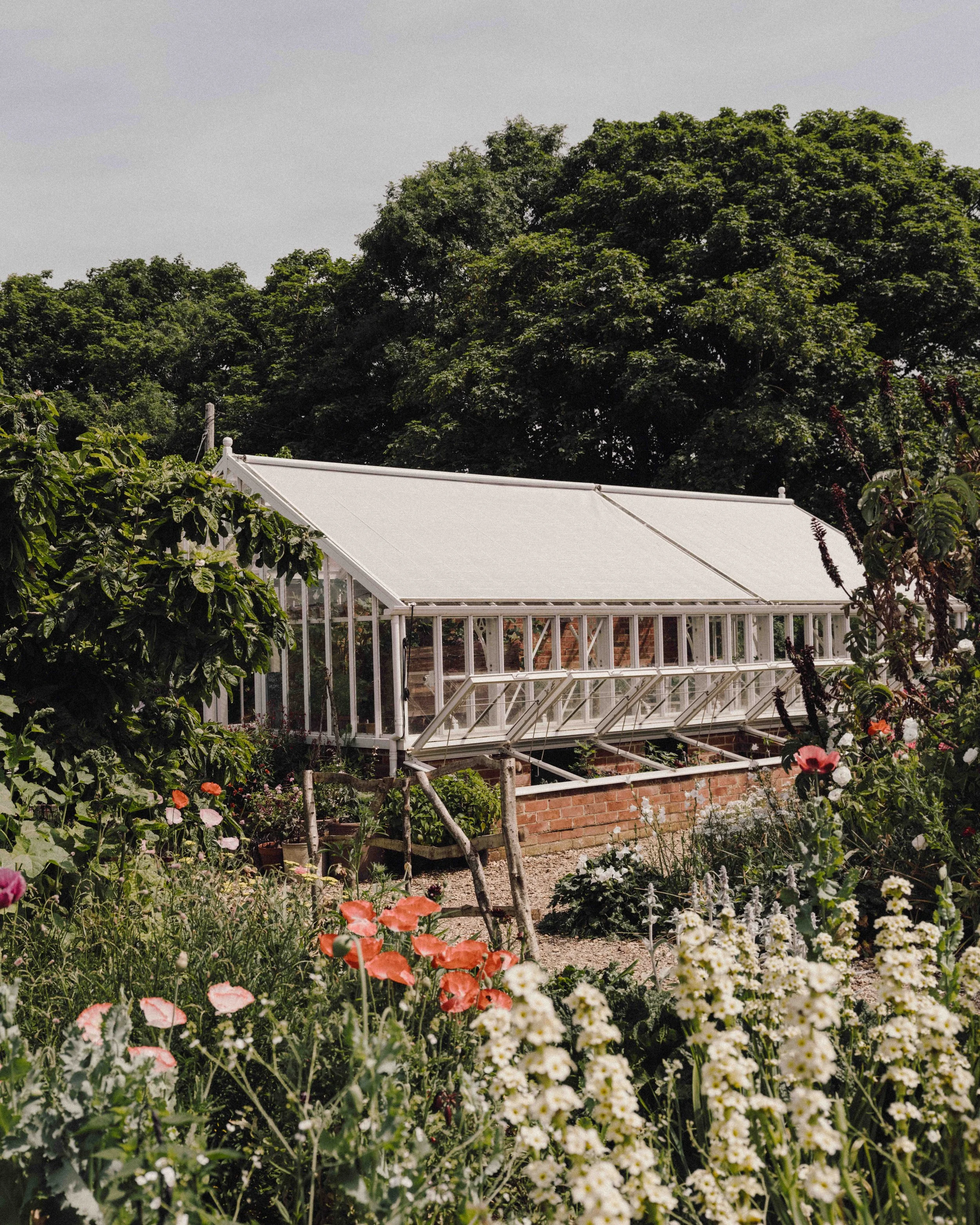 DSCF1509.jpg