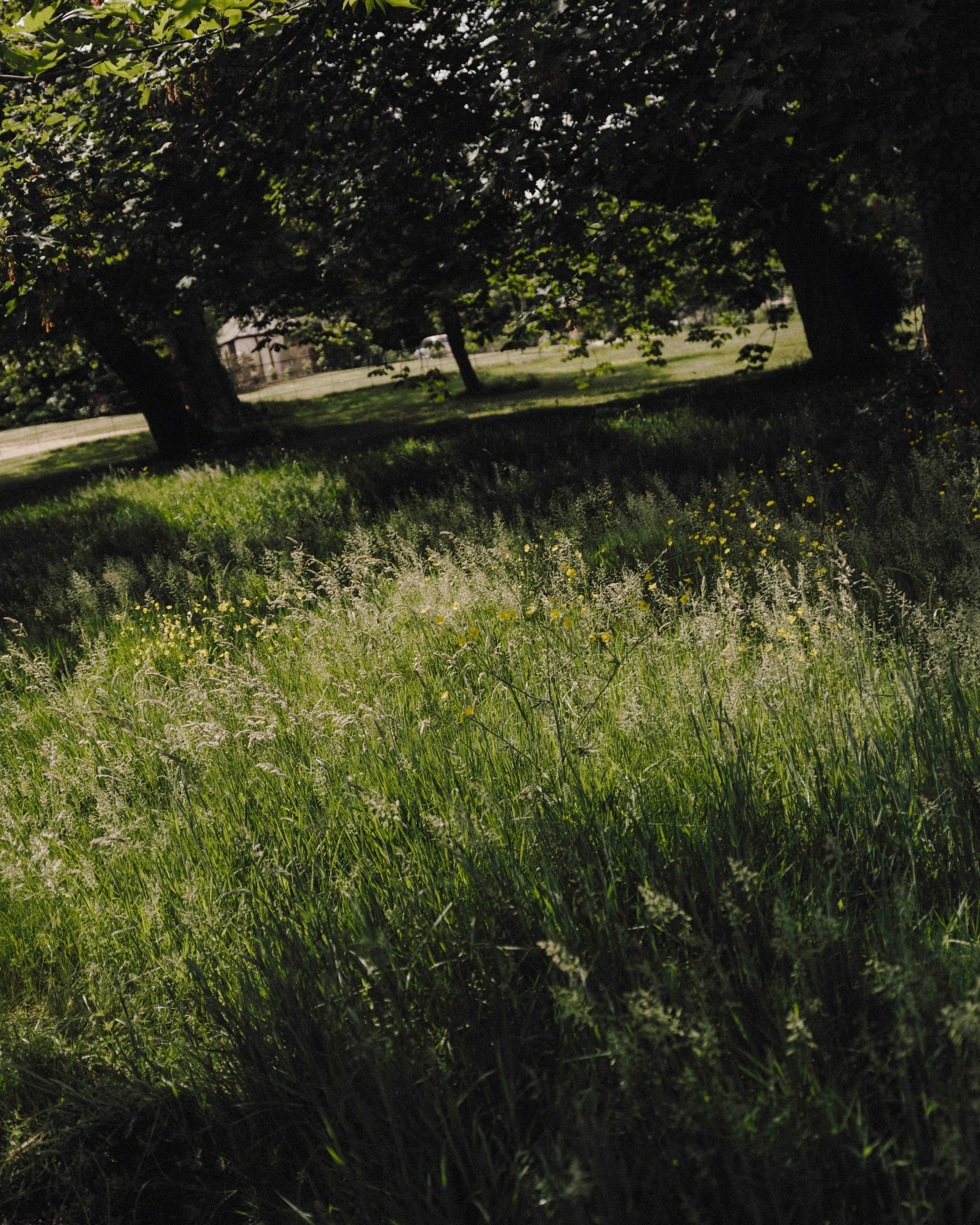DSCF1566.jpg