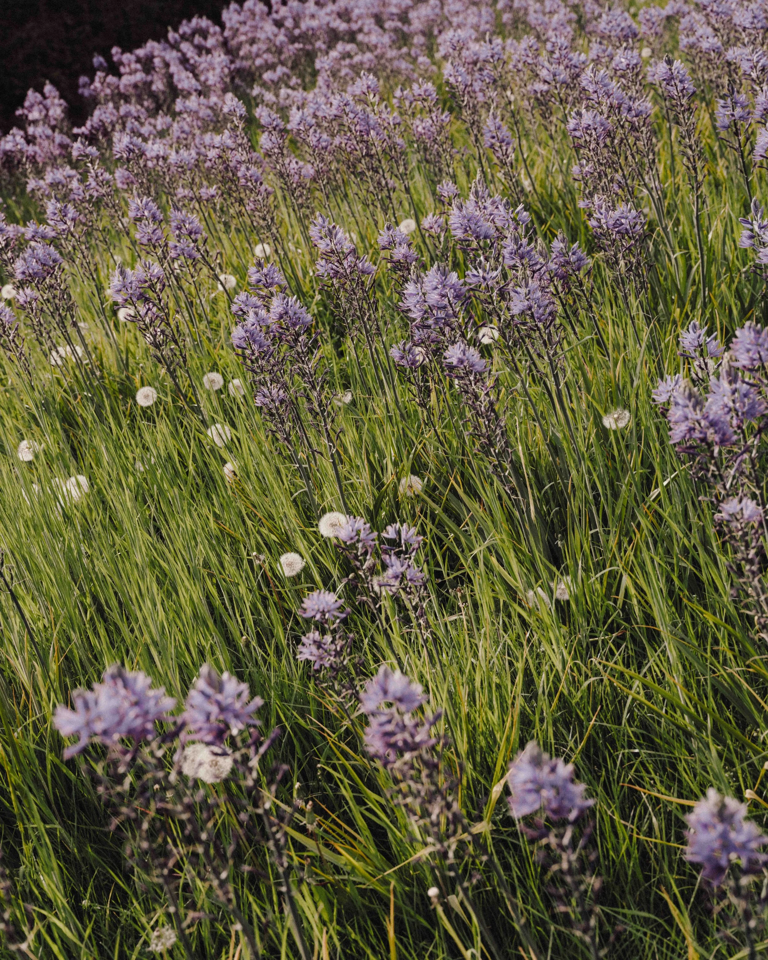 DSCF5369.jpg