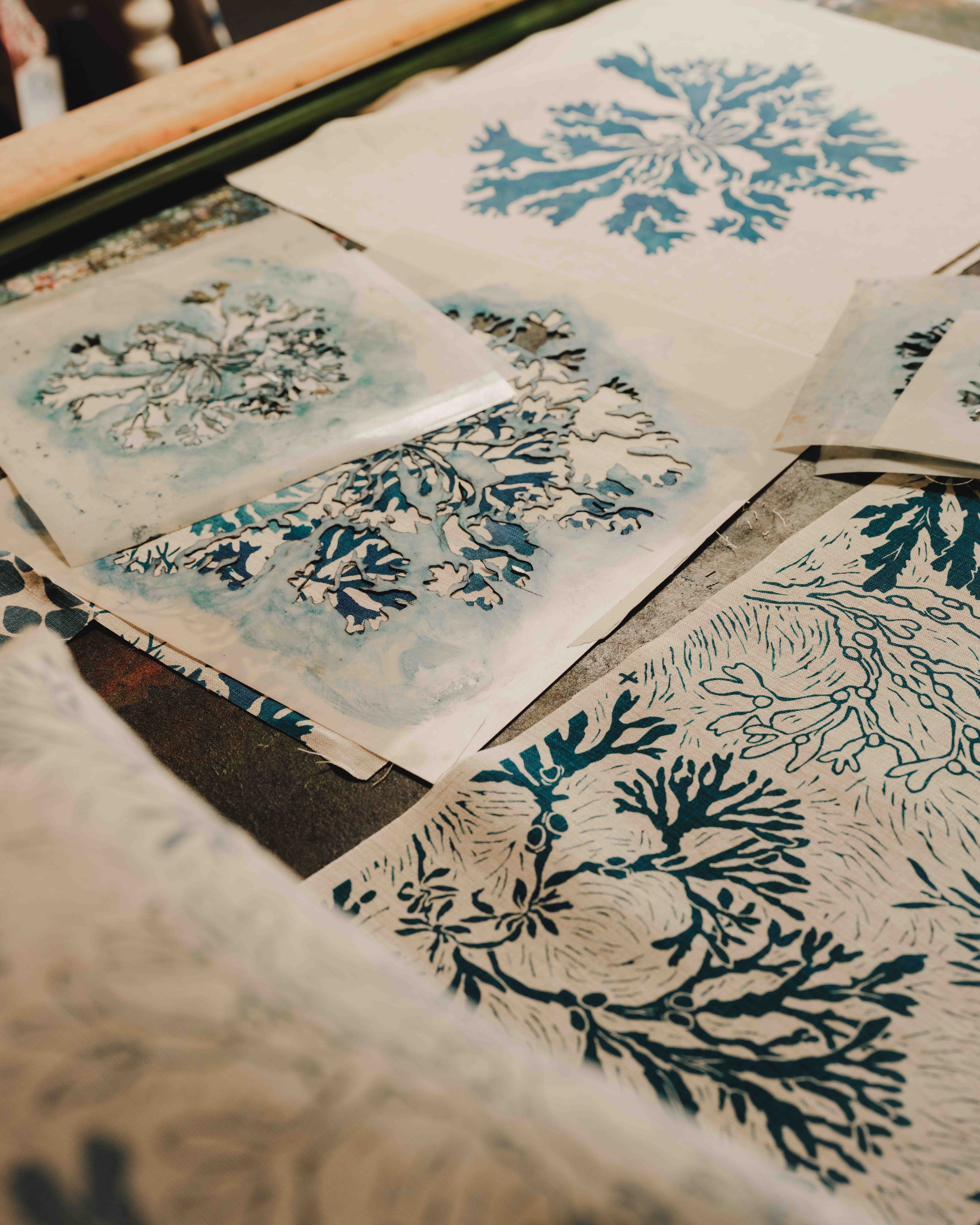 DSCF8436.jpg