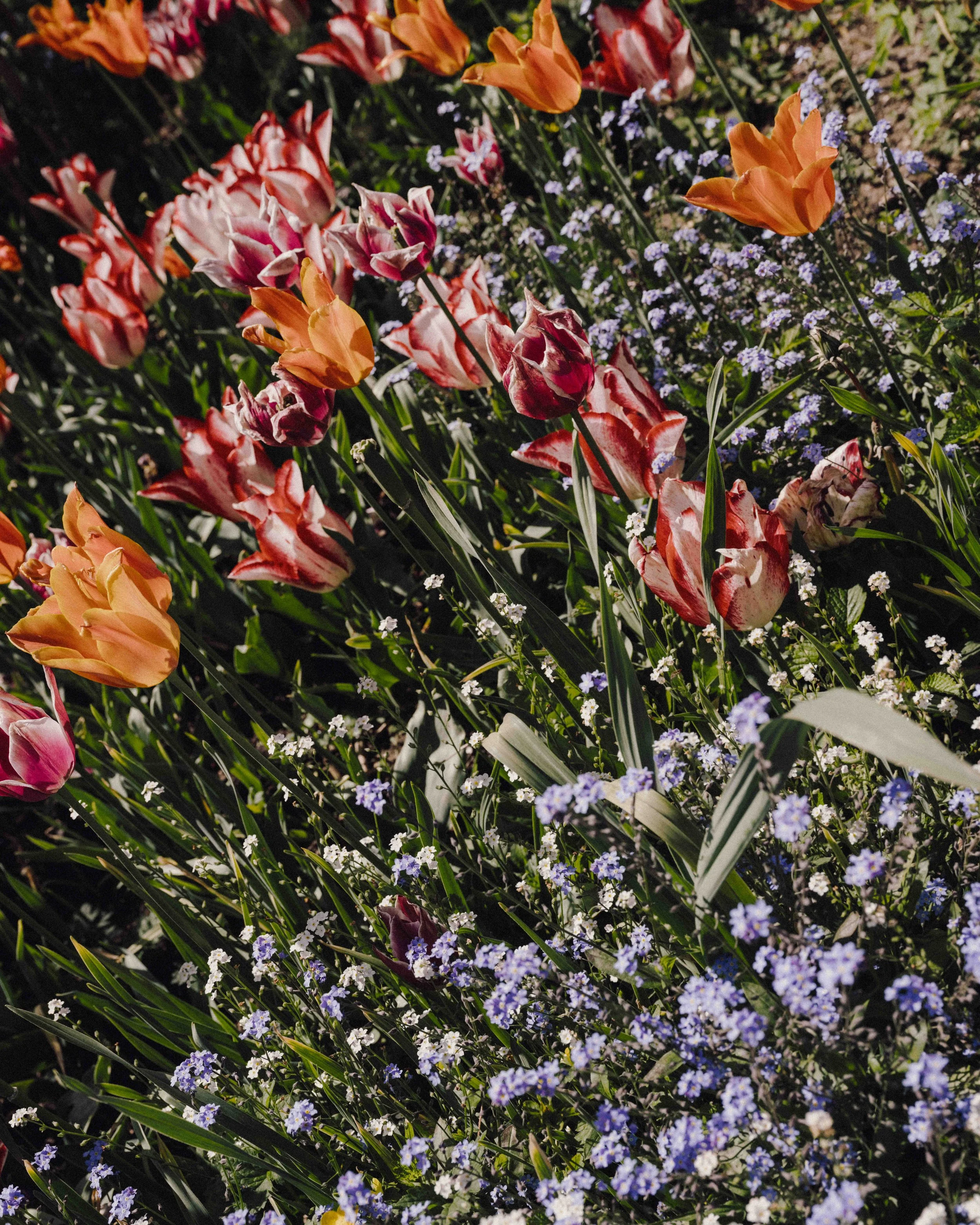 DSCF4913.jpg