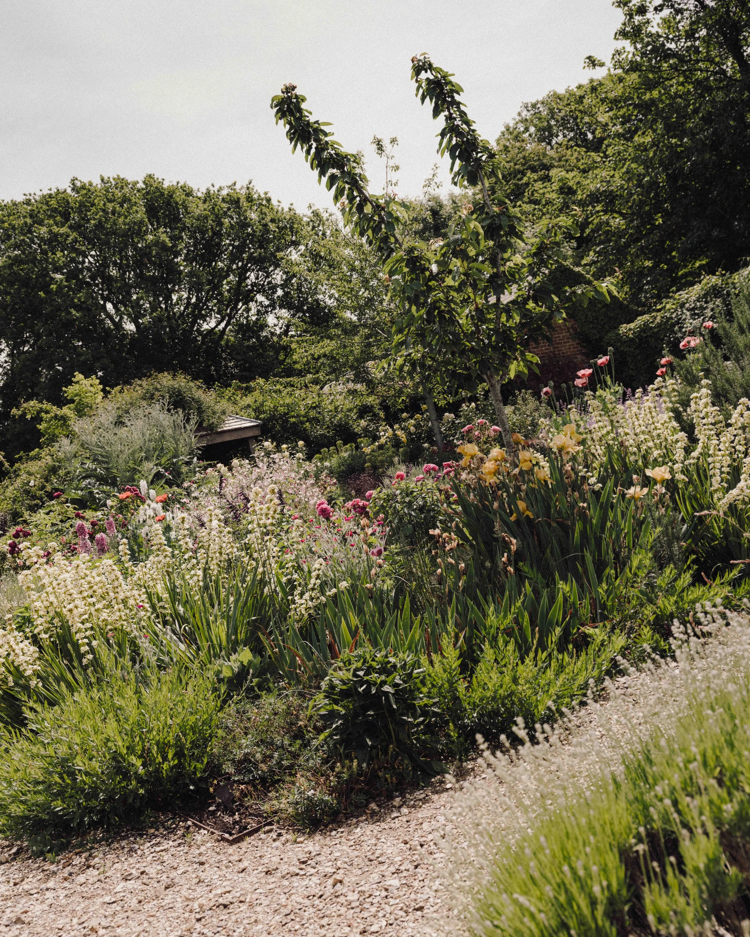 DSCF1519.jpg