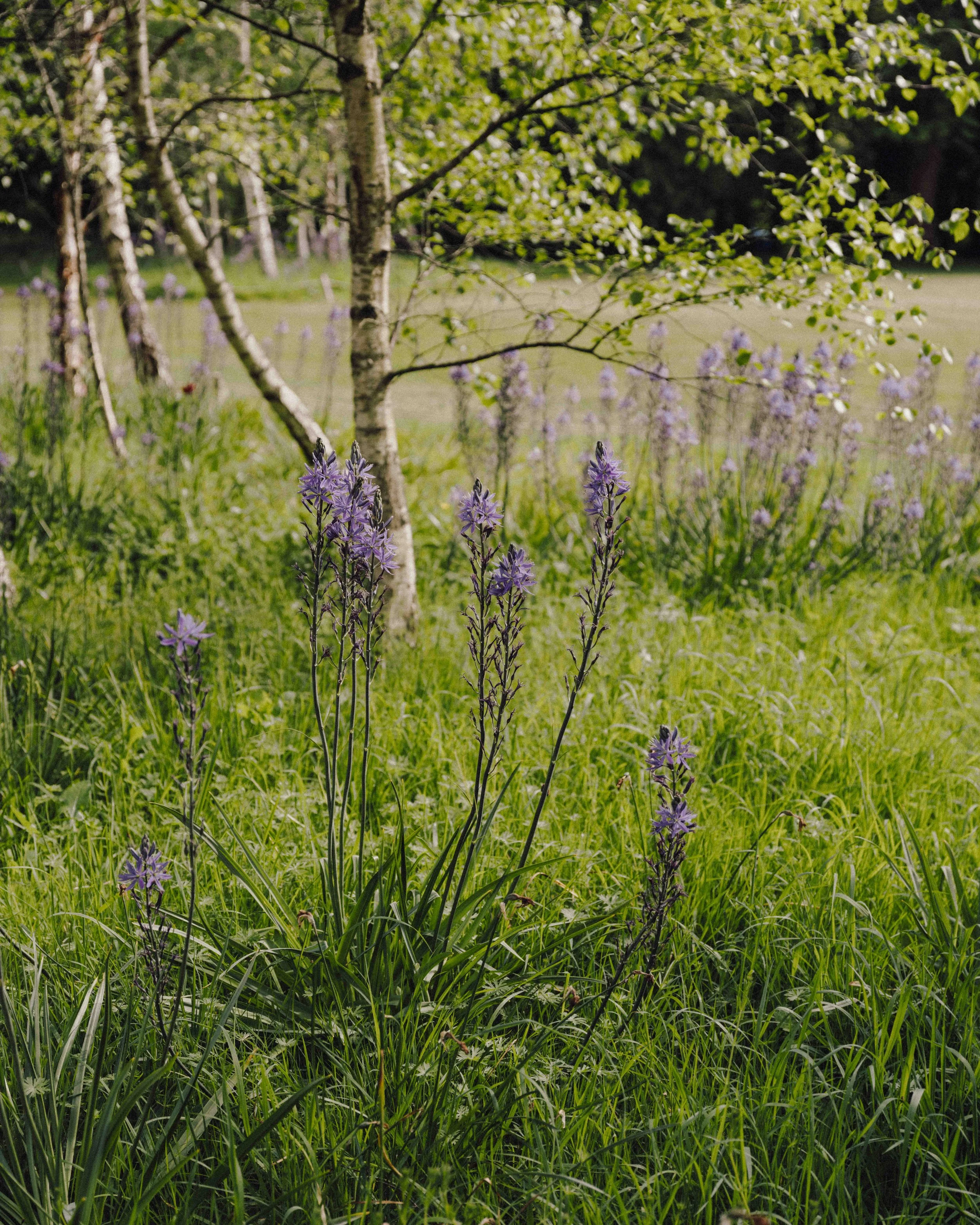 DSCF4825.jpg