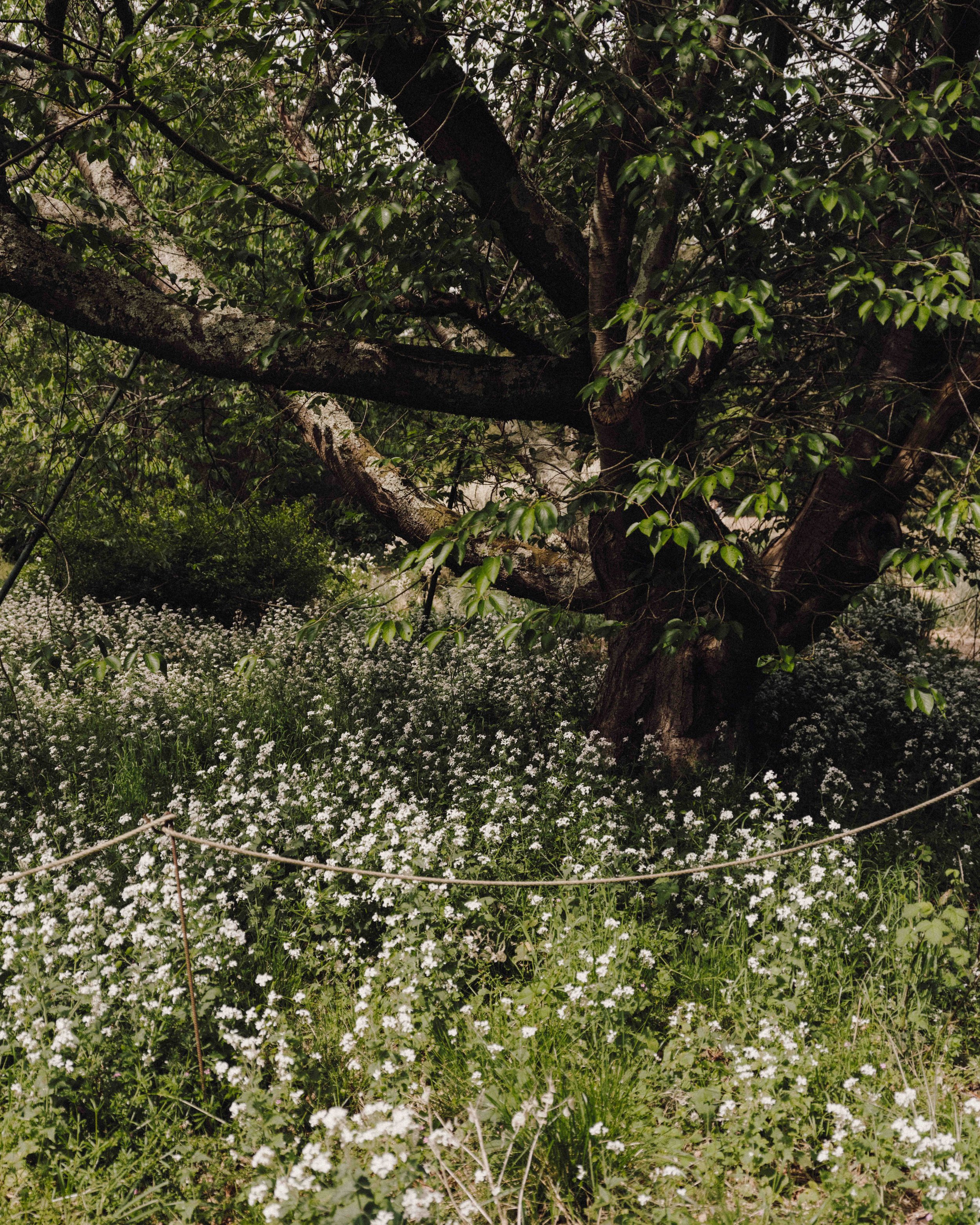 DSCF5167.jpg