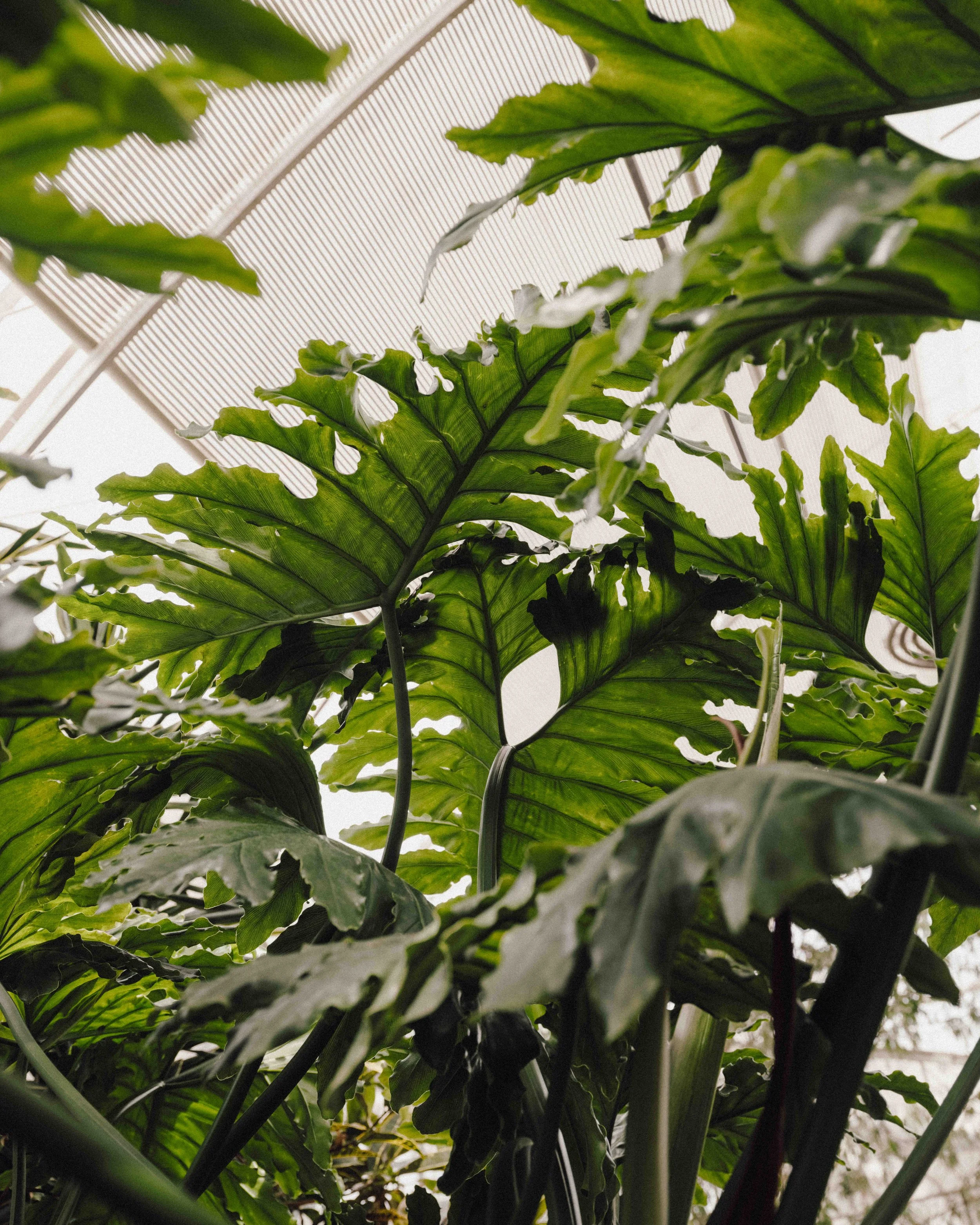 DSCF5220.jpg