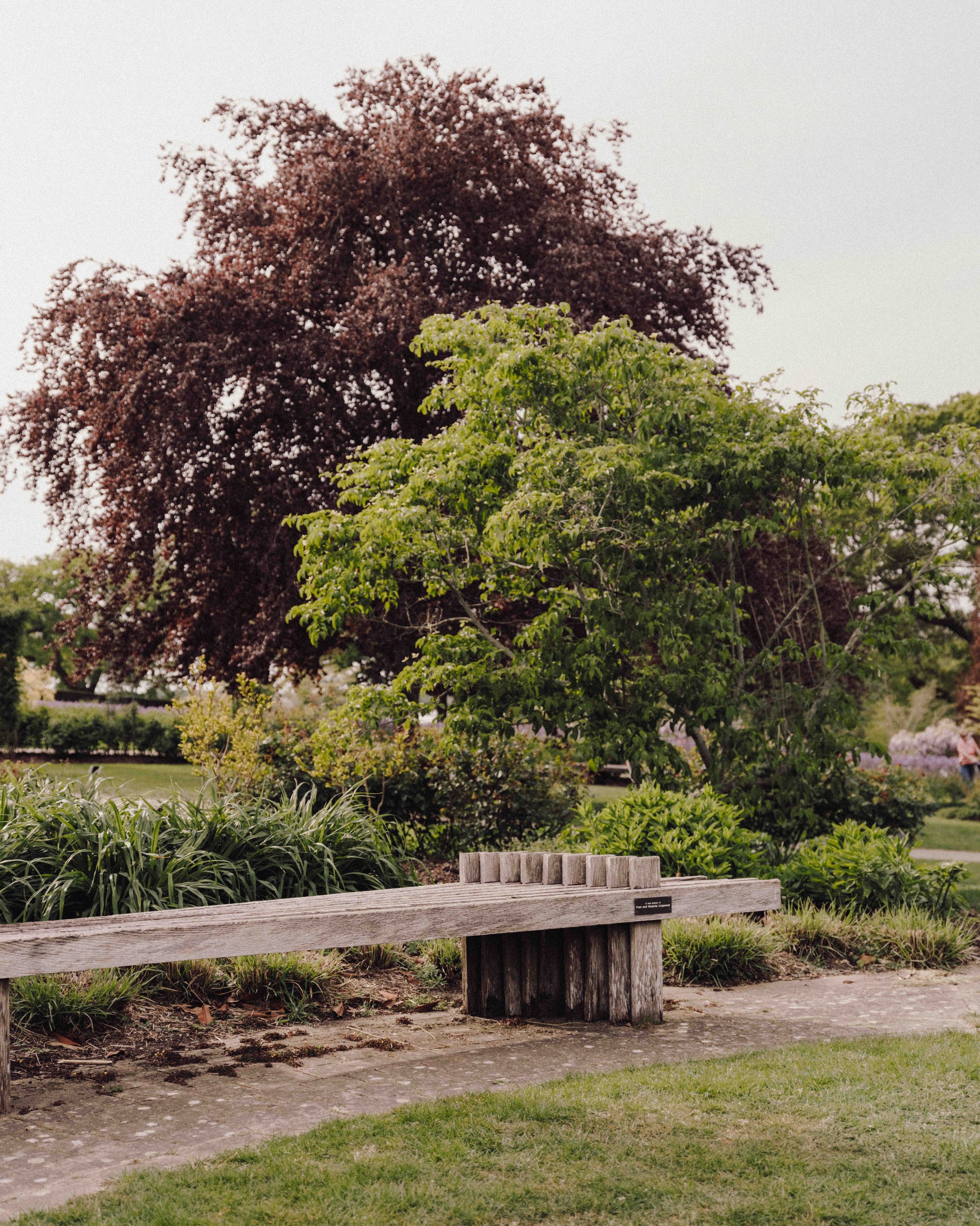 DSCF5343.jpg