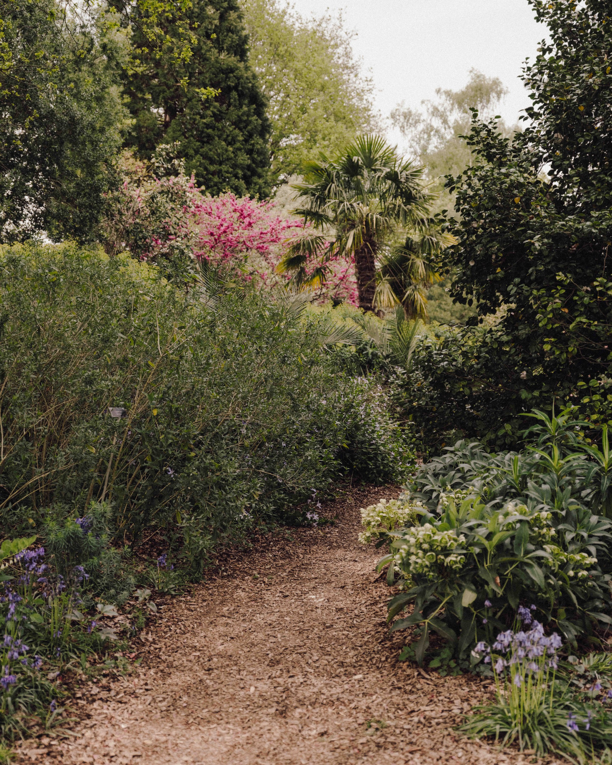 DSCF5272.jpg
