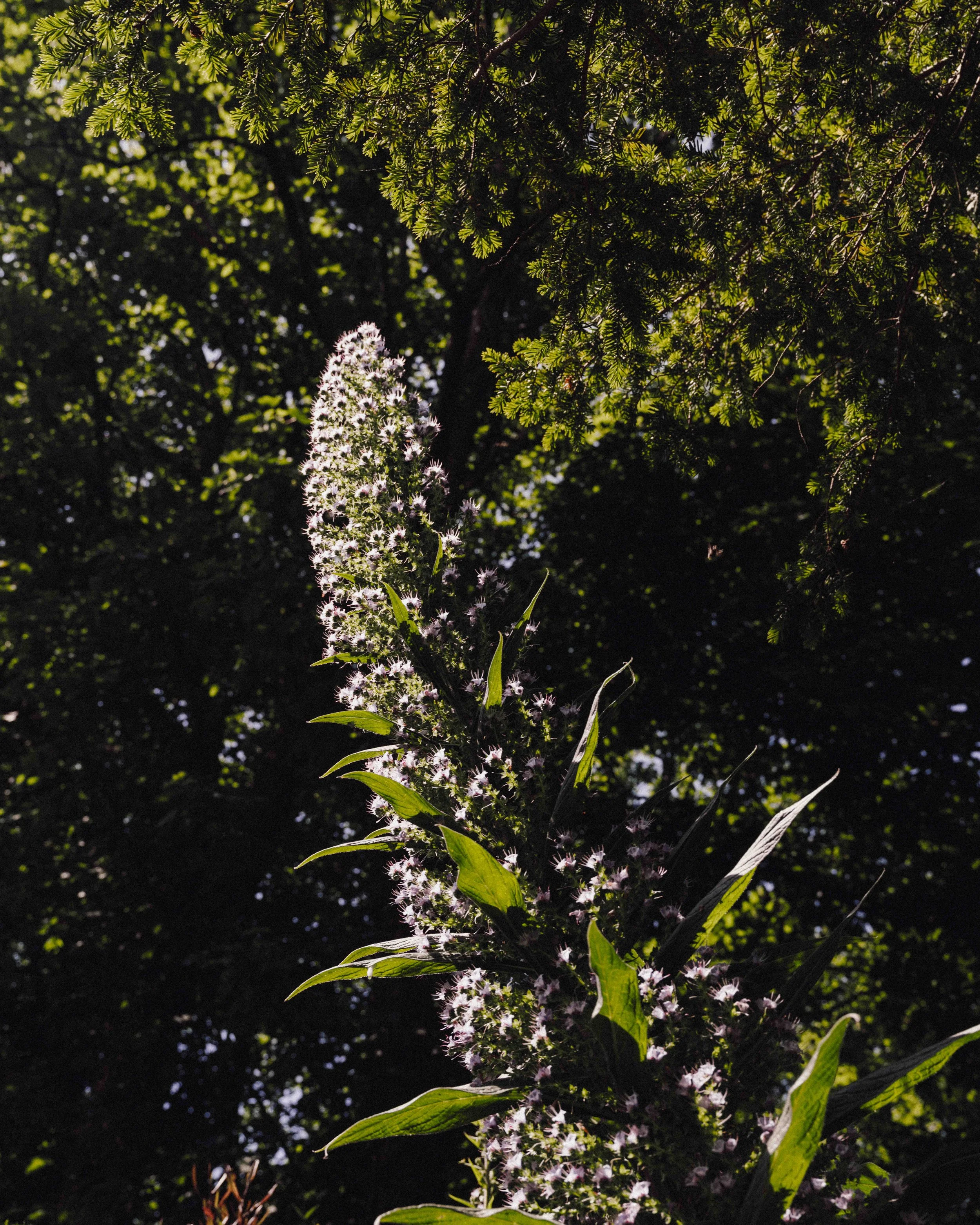 DSCF9899.jpg