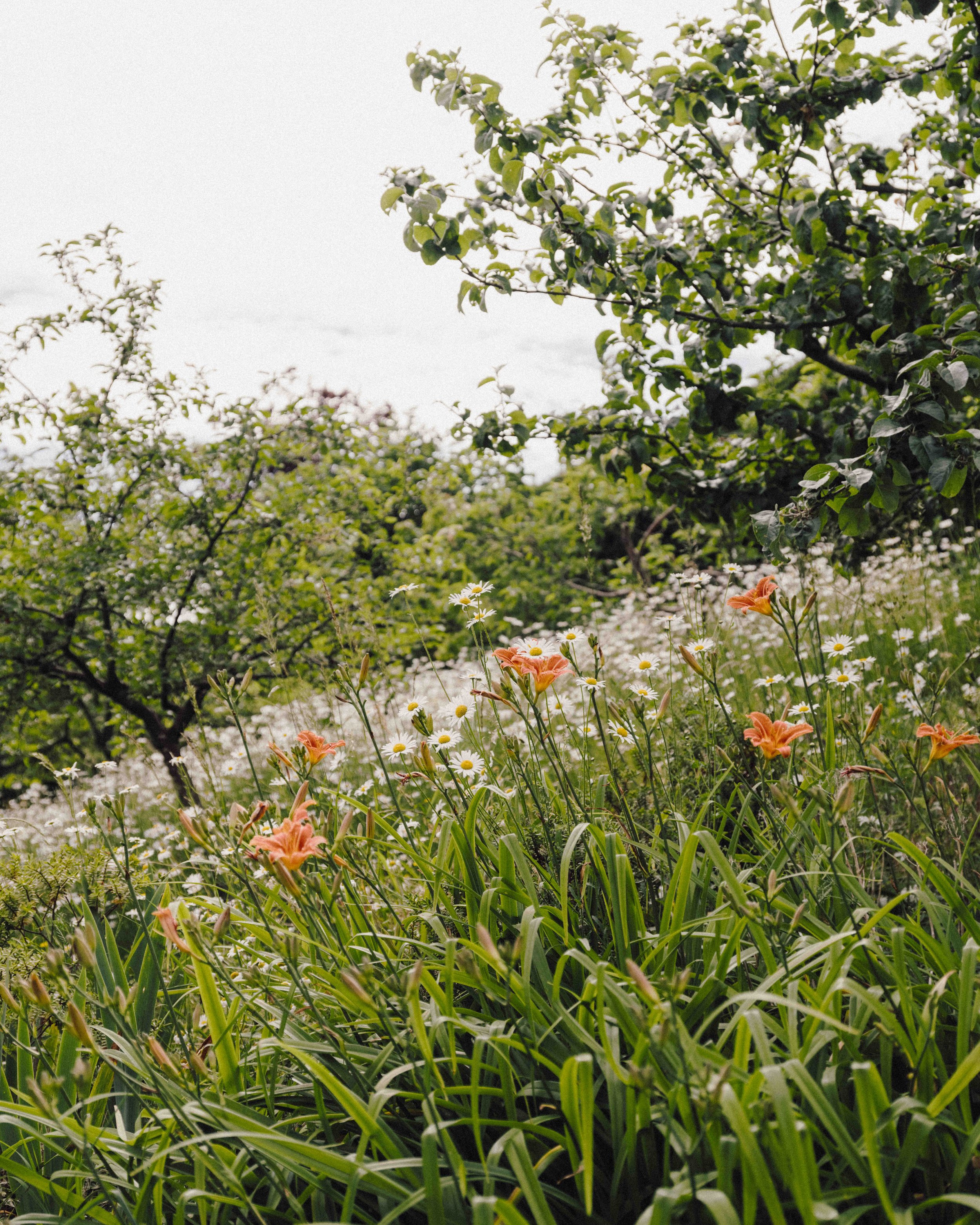 DSCF1911.jpg