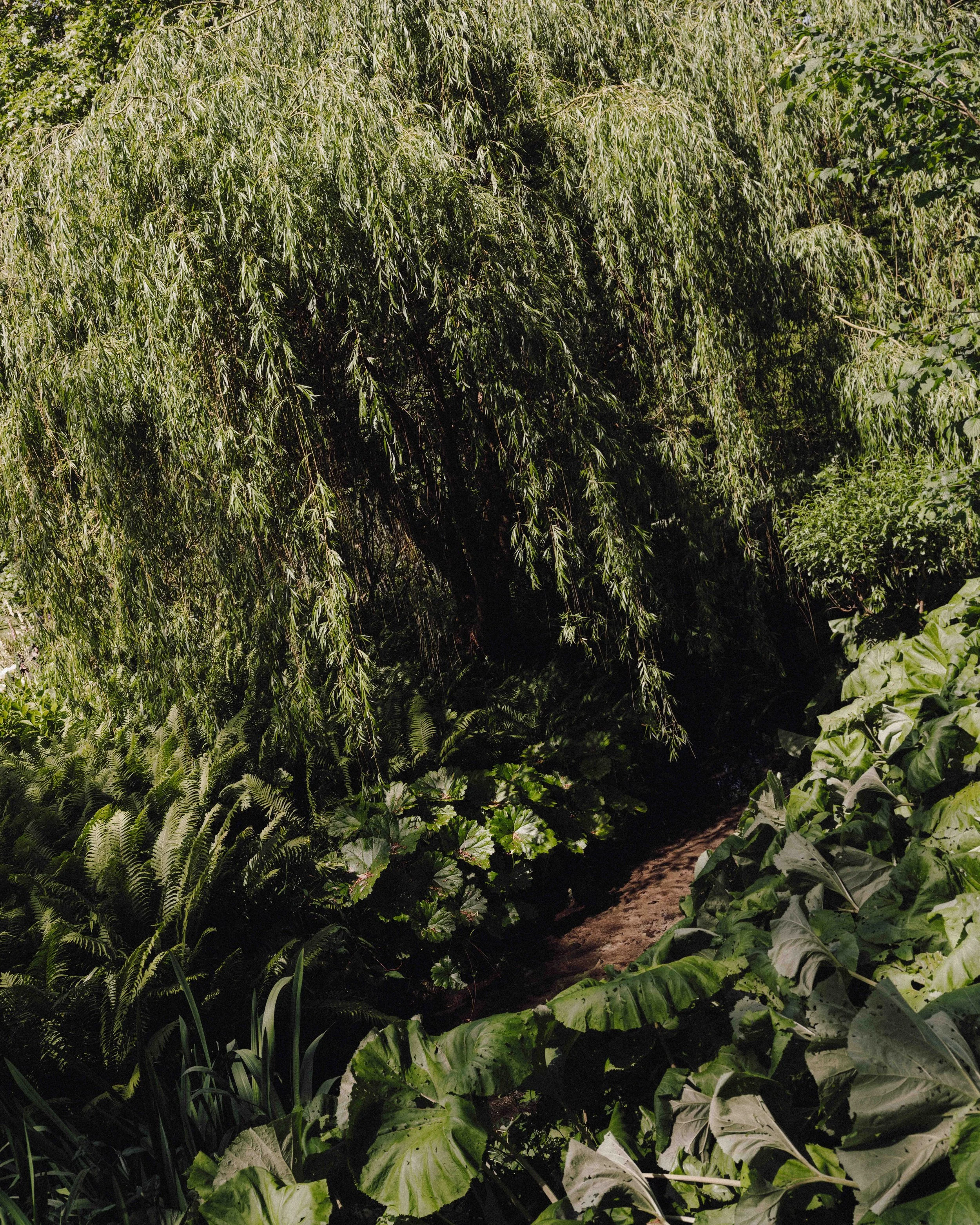 DSCF0056.jpg