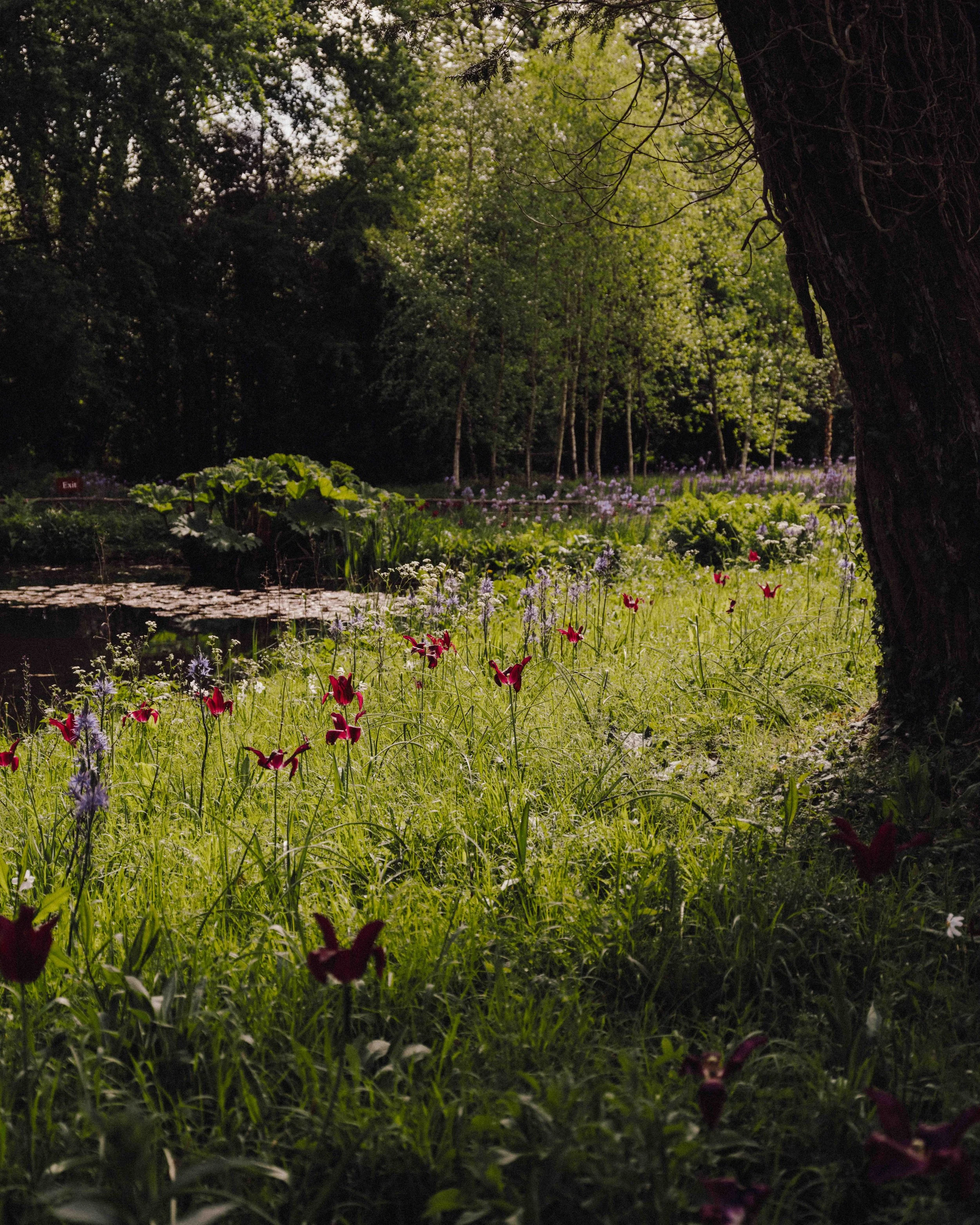 DSCF4829.jpg