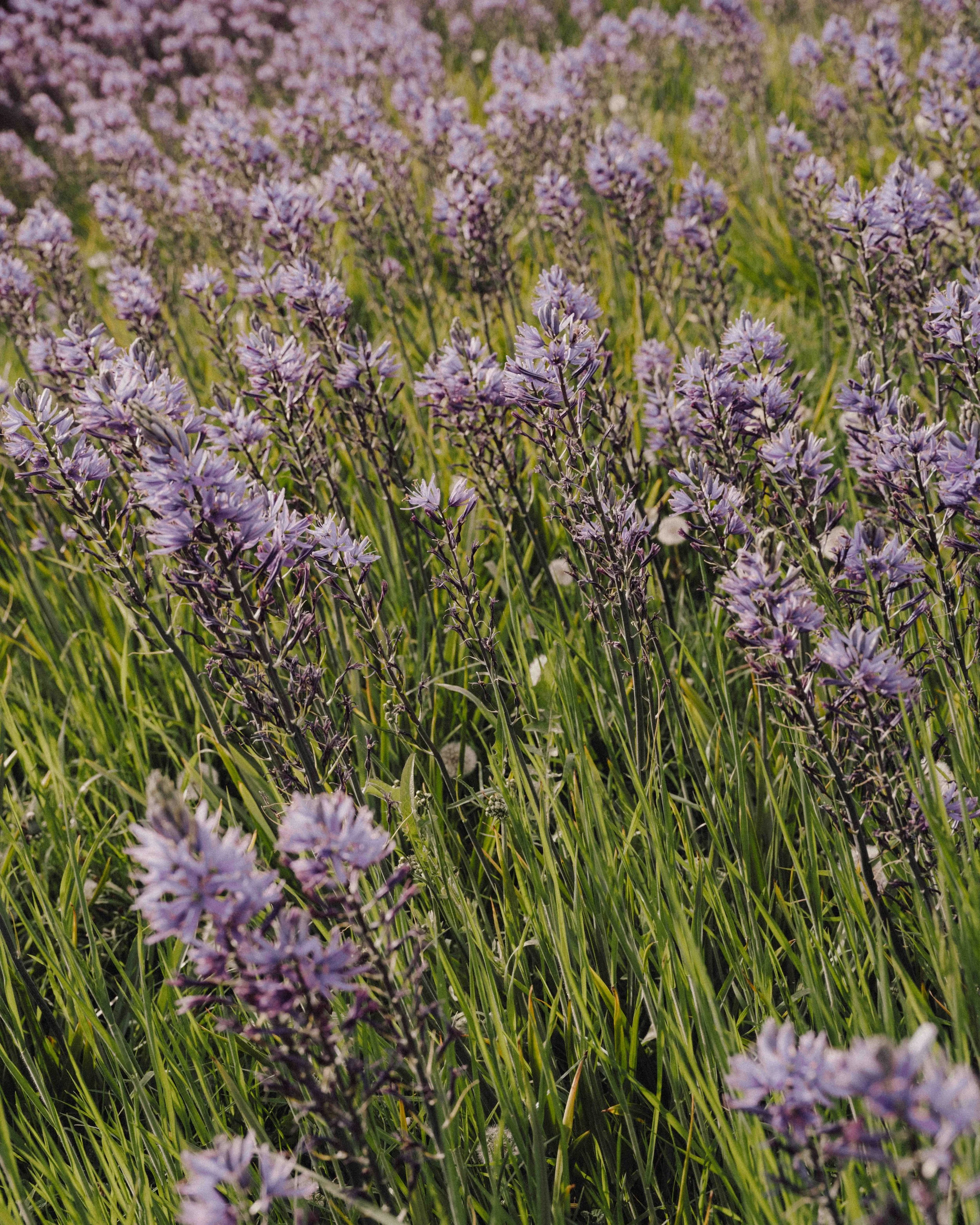 DSCF5370.jpg