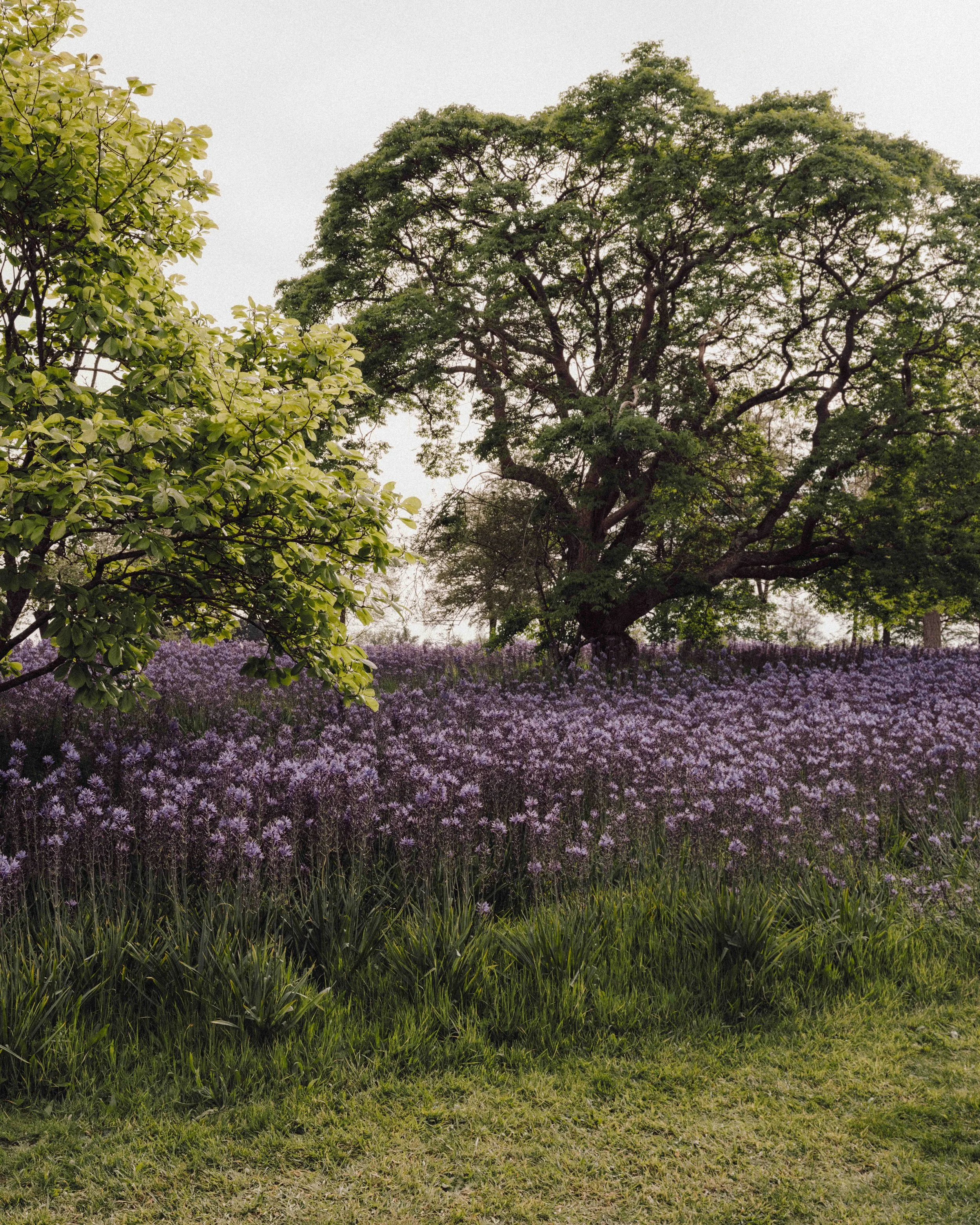 DSCF5361.jpg