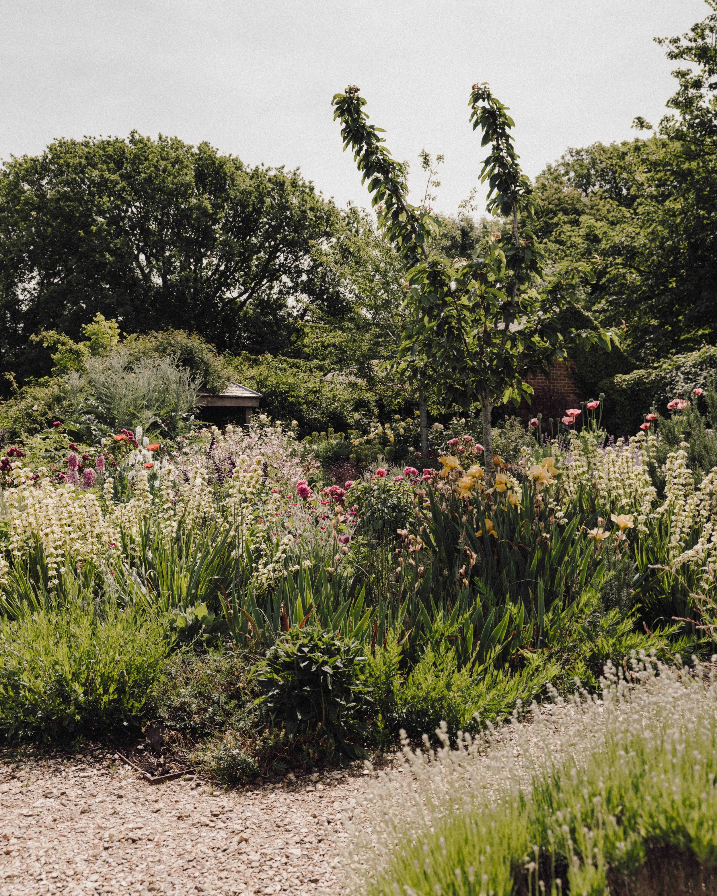 DSCF1518.jpg
