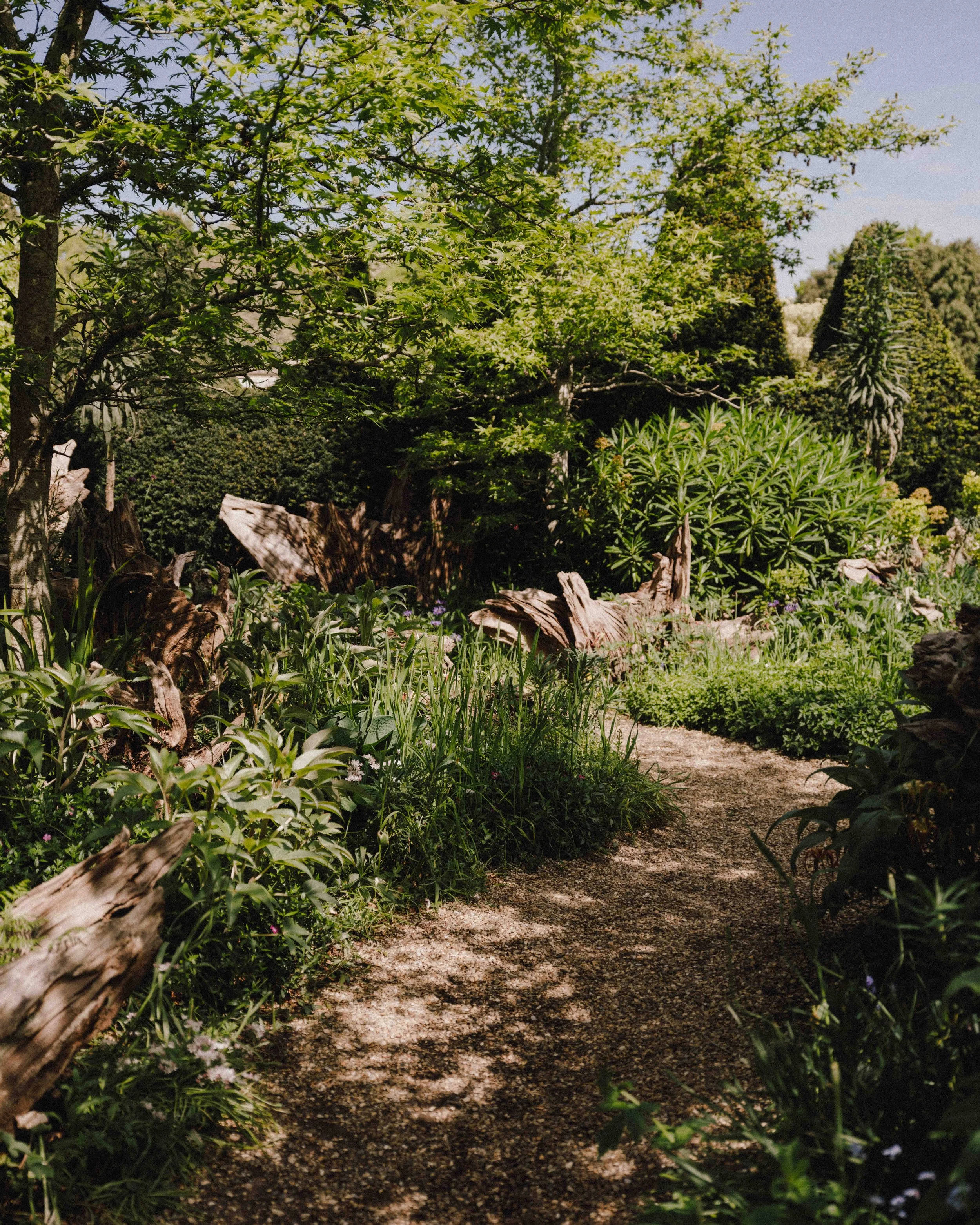 DSCF4904.jpg