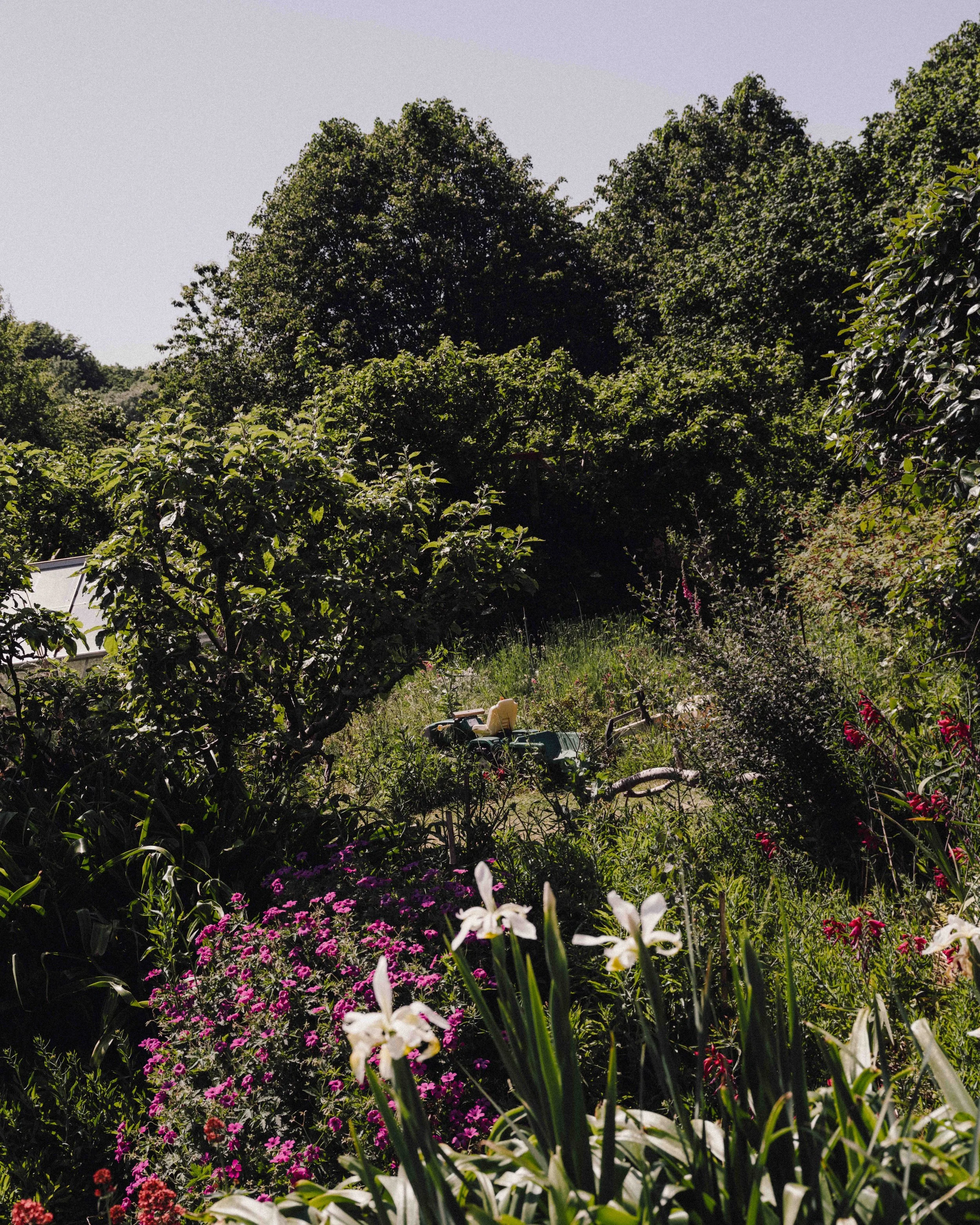 DSCF9982.jpg