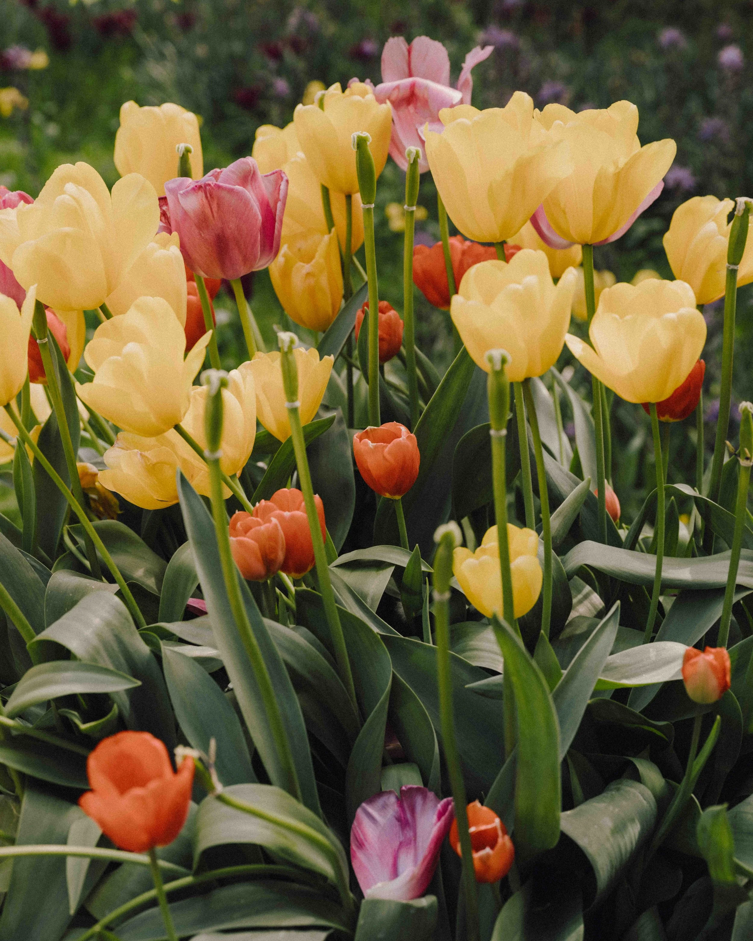 DSCF4869.jpg