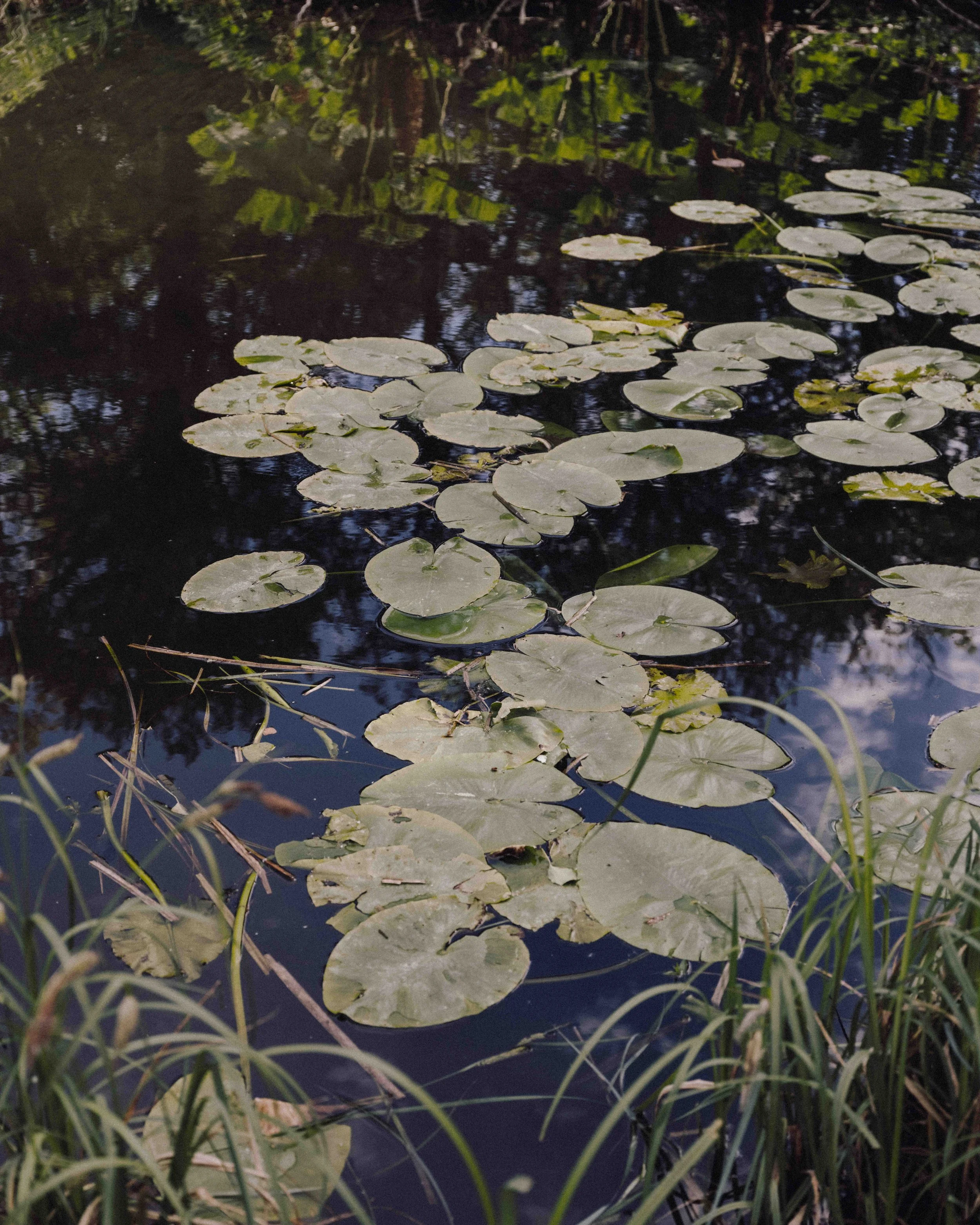 DSCF4831.jpg