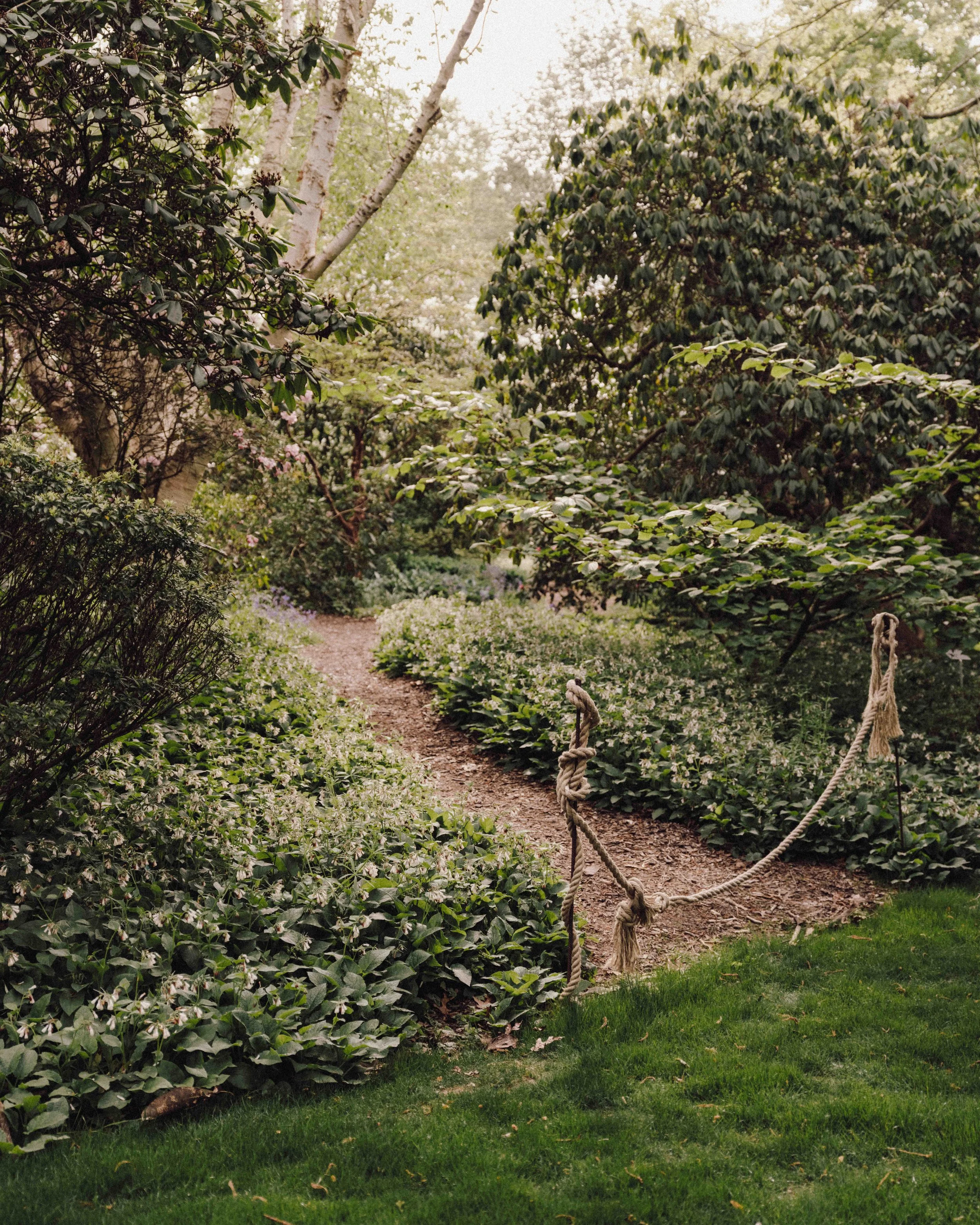 DSCF5295.jpg