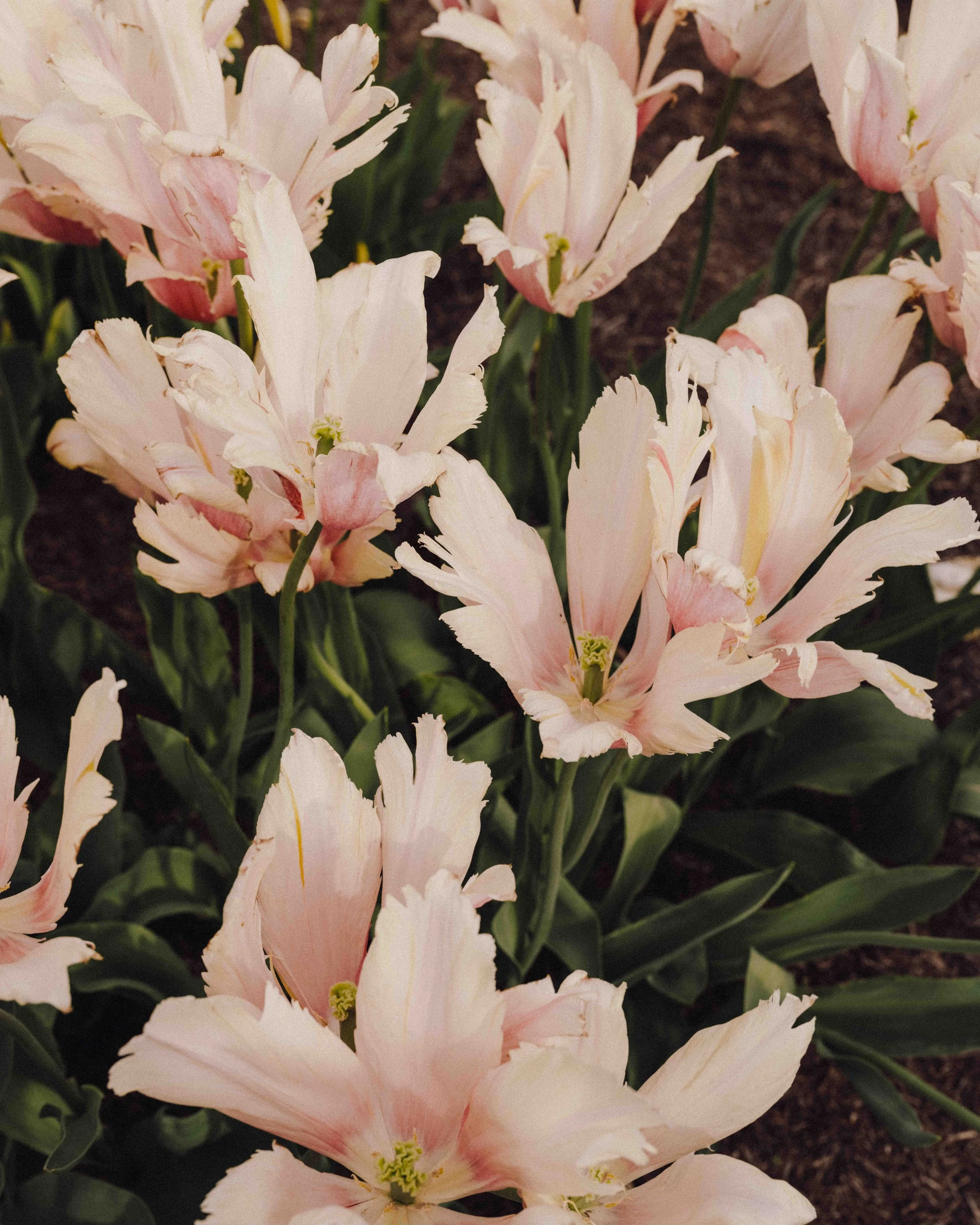 DSCF5312.jpg