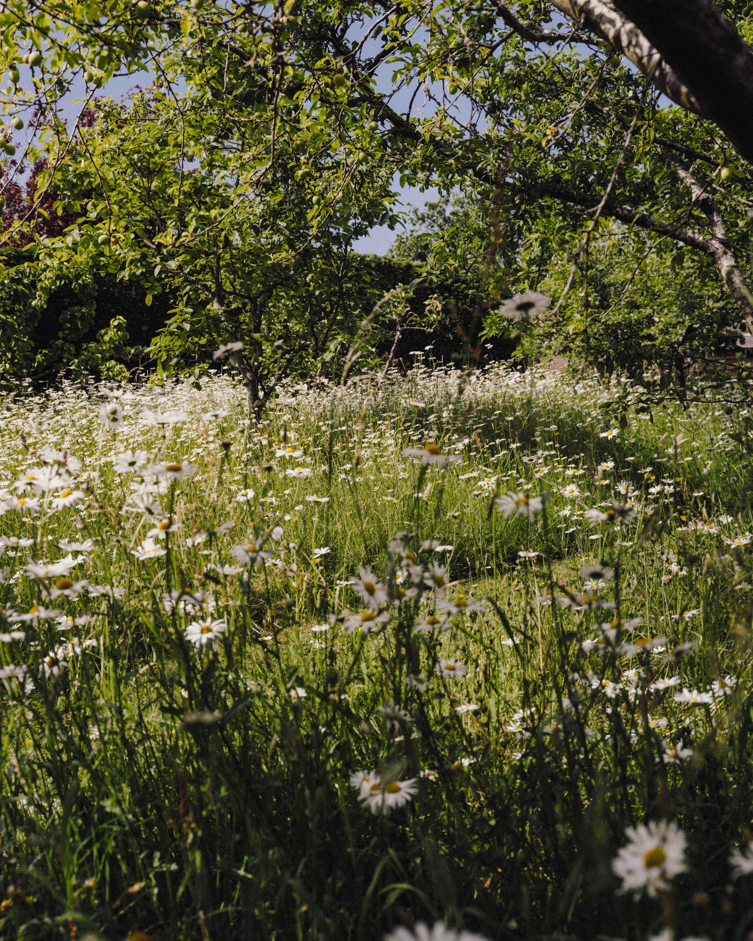 DSCF1858.jpg