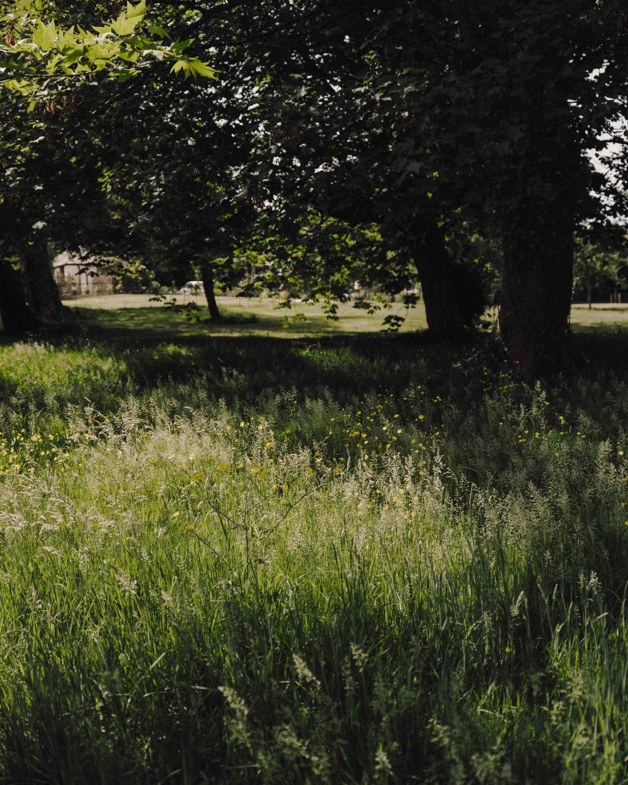 DSCF1565.jpg