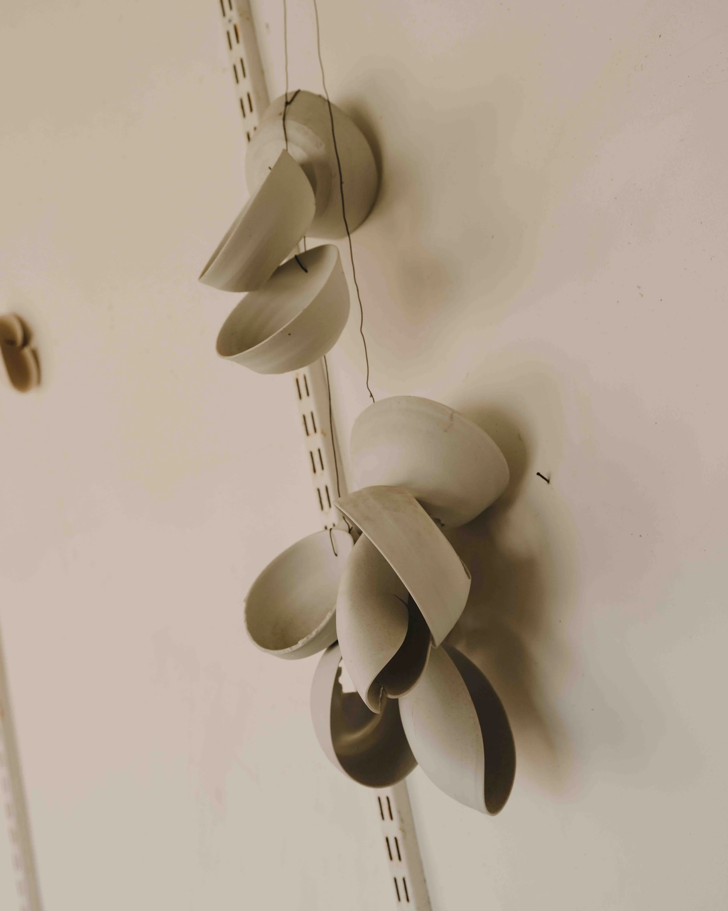 DSCF0108.jpg