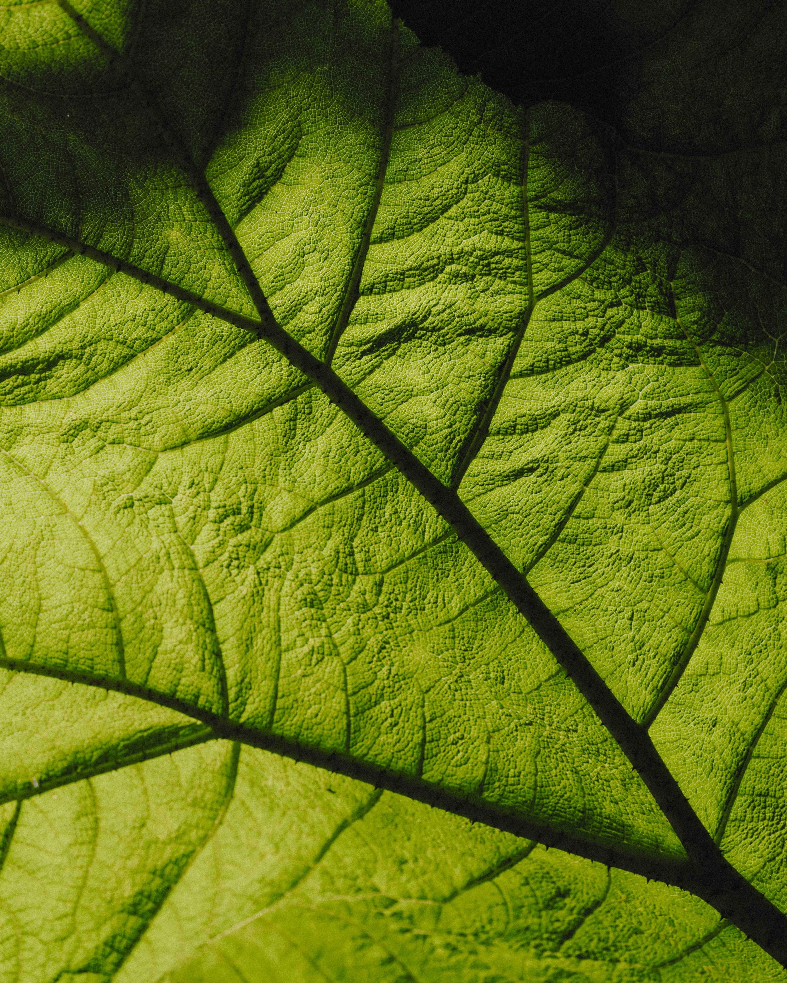 DSCF9817.jpg