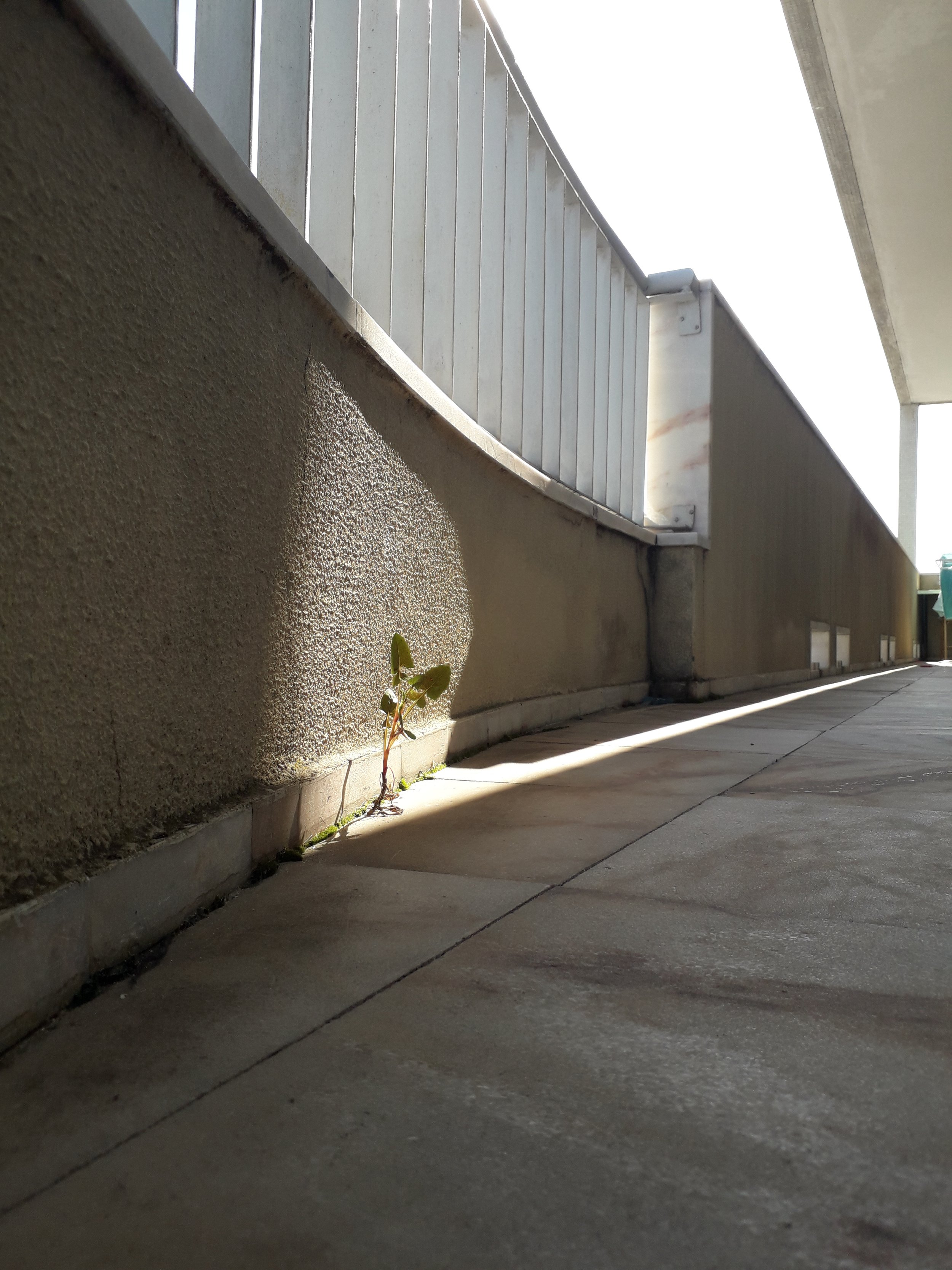 20180418_170527.jpg