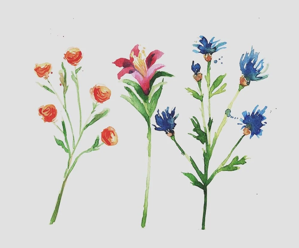 Paint and Unwind